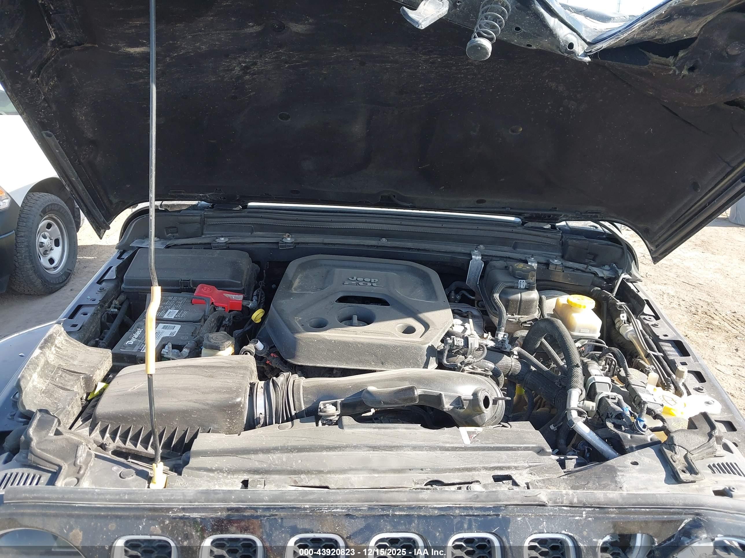 JEEP WRANGLER image 10