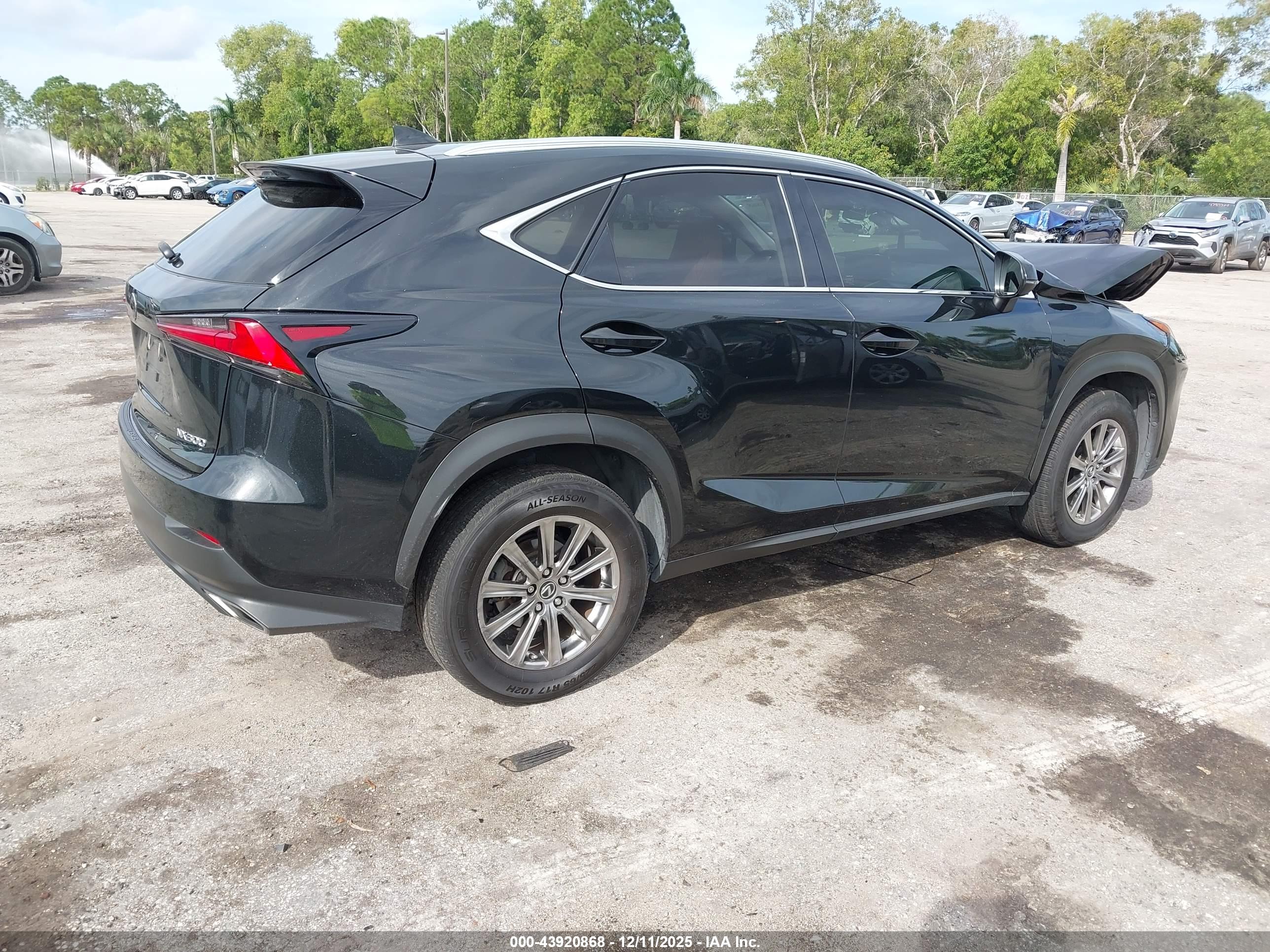 LEXUS NX image 4