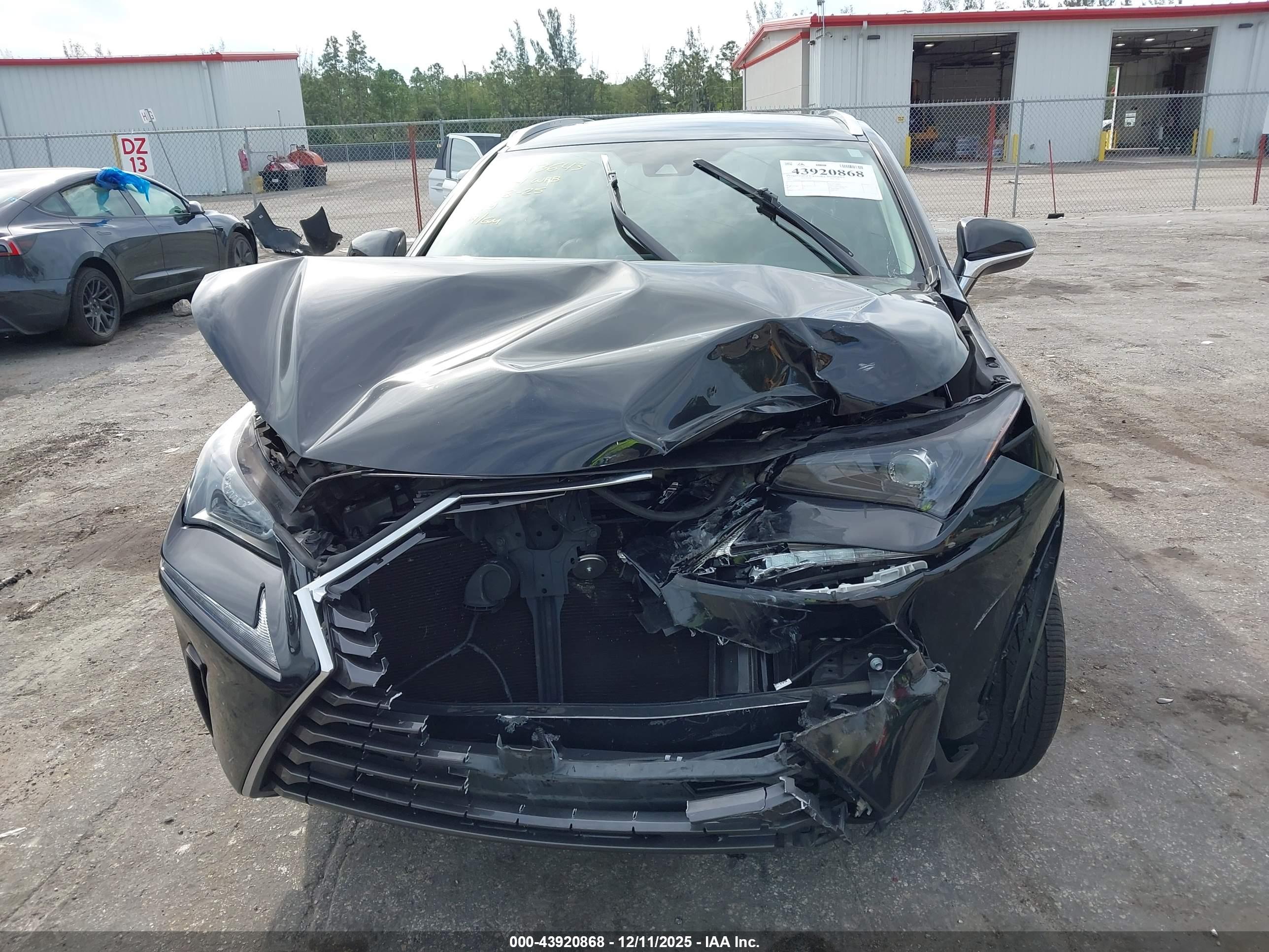 LEXUS NX image 6