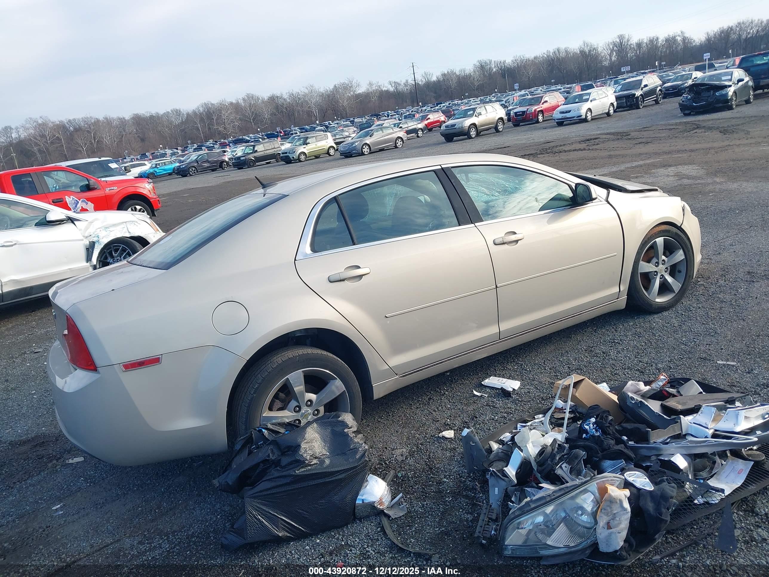 CHEVROLET MALIBU image 4