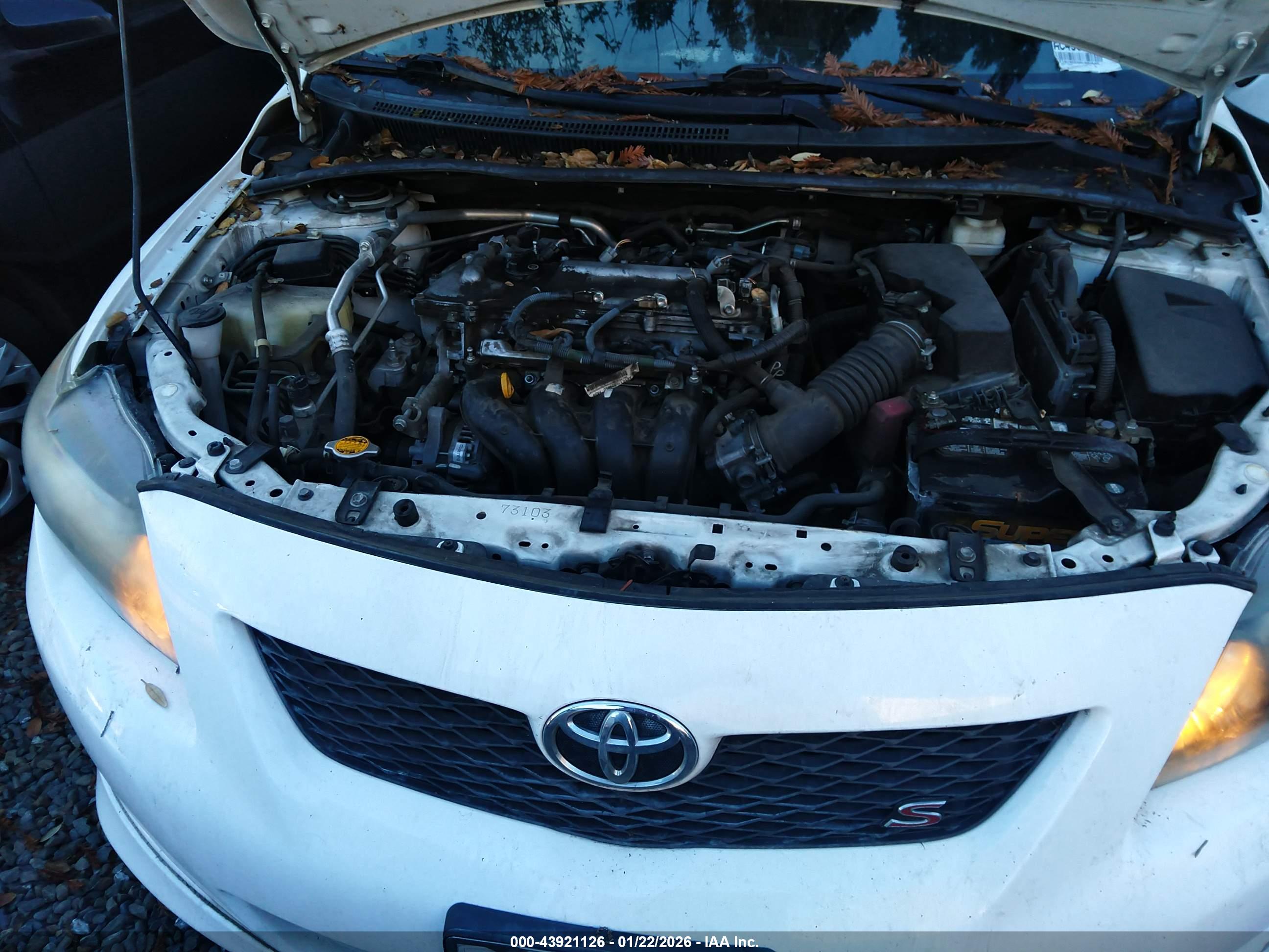 TOYOTA COROLLA image 10