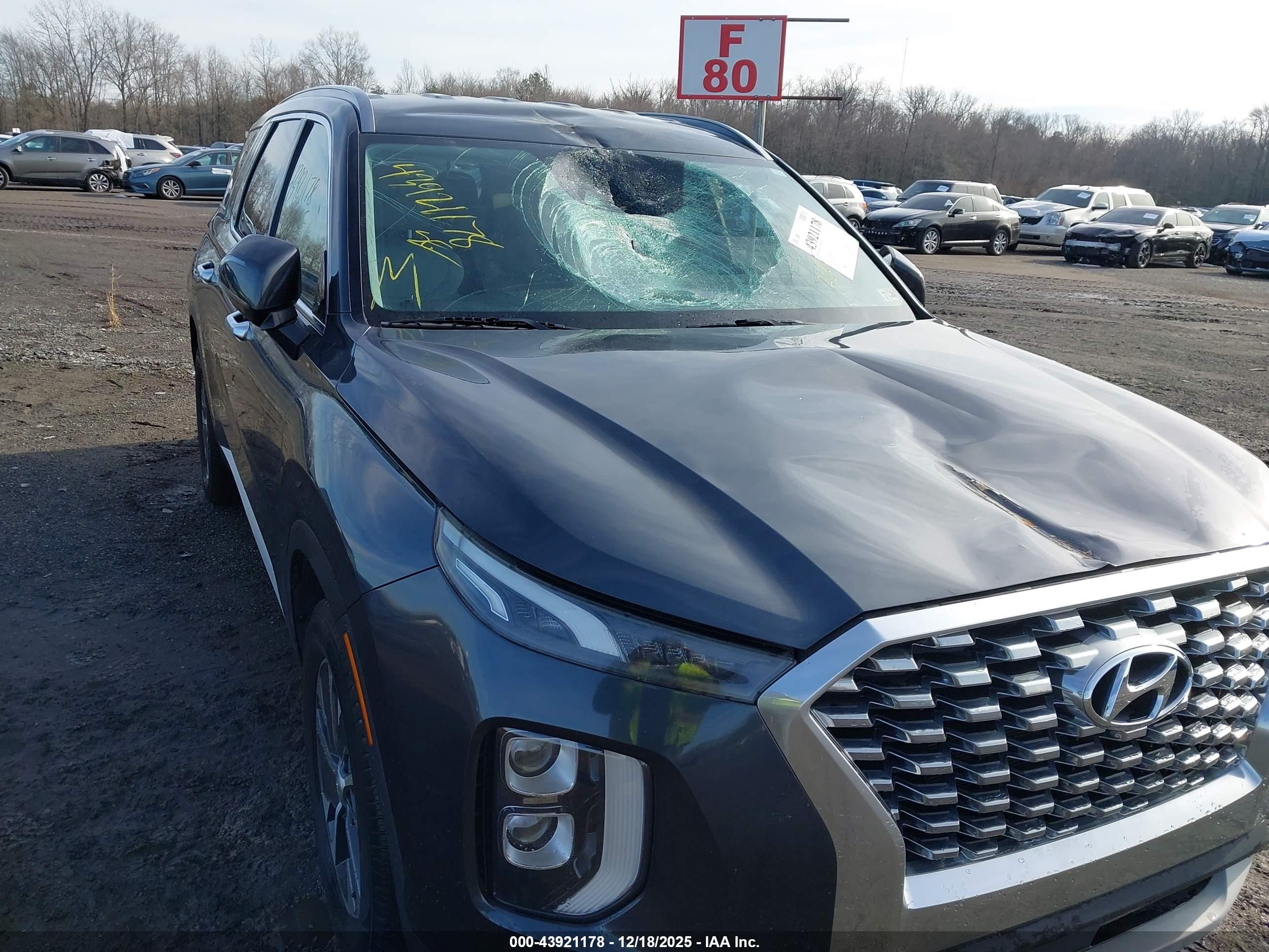 HYUNDAI PALISADE image 6