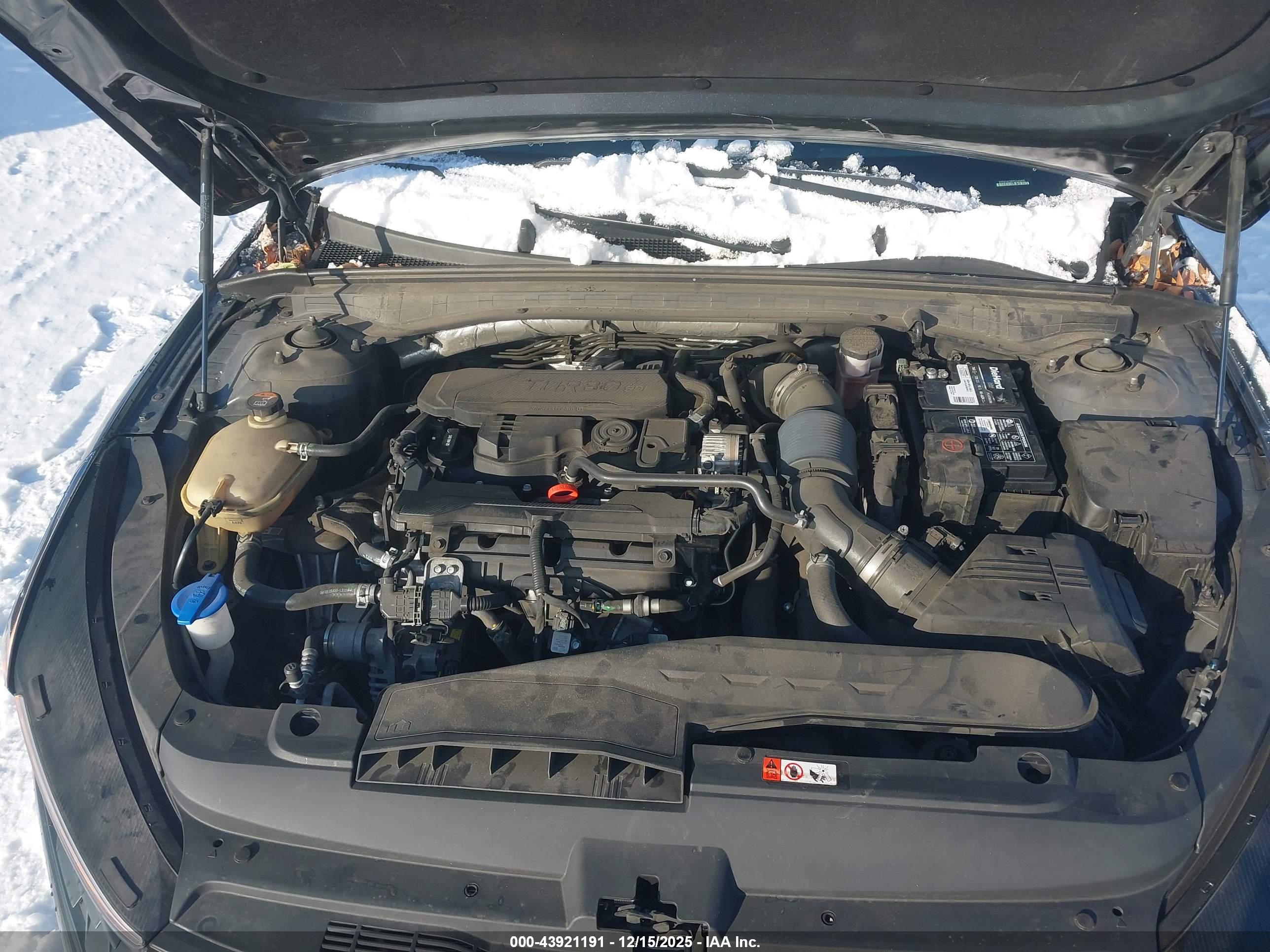 KIA K5 image 10