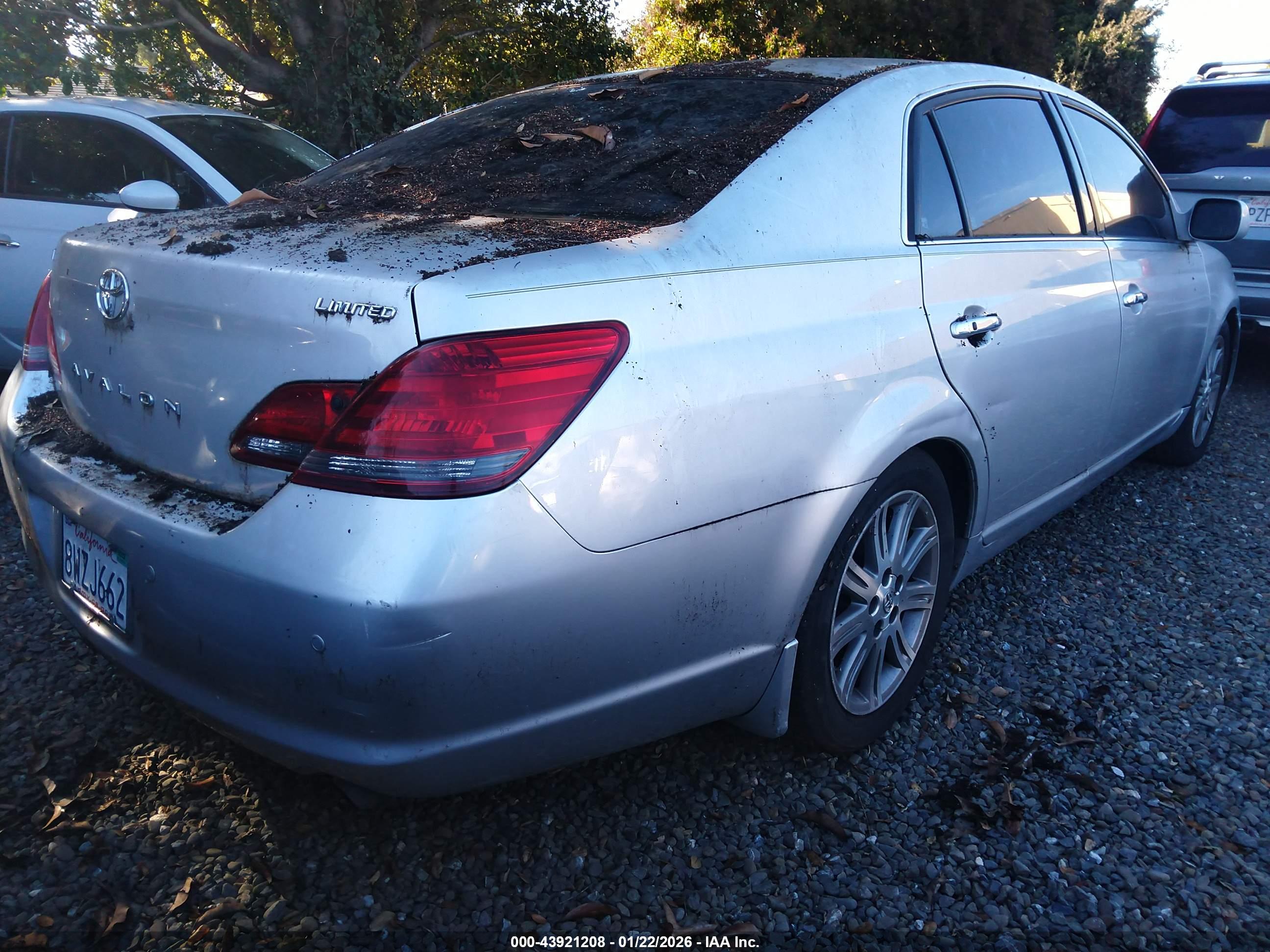 TOYOTA AVALON image 4