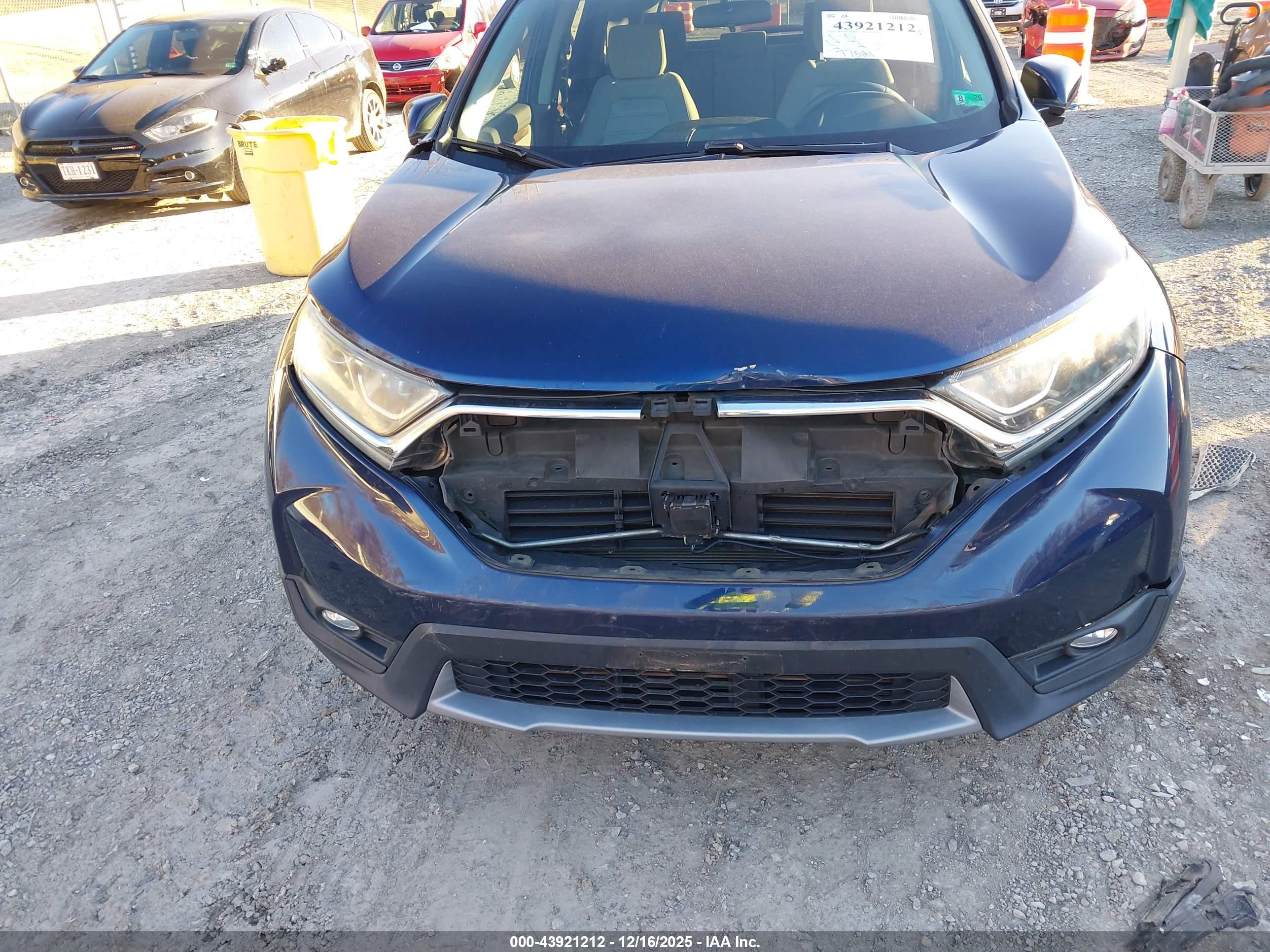 HONDA CR-V image 6