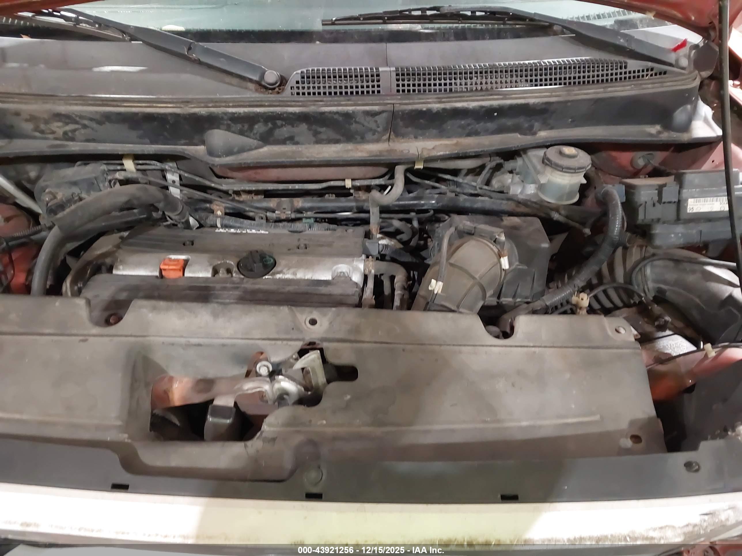 HONDA ELEMENT image 10