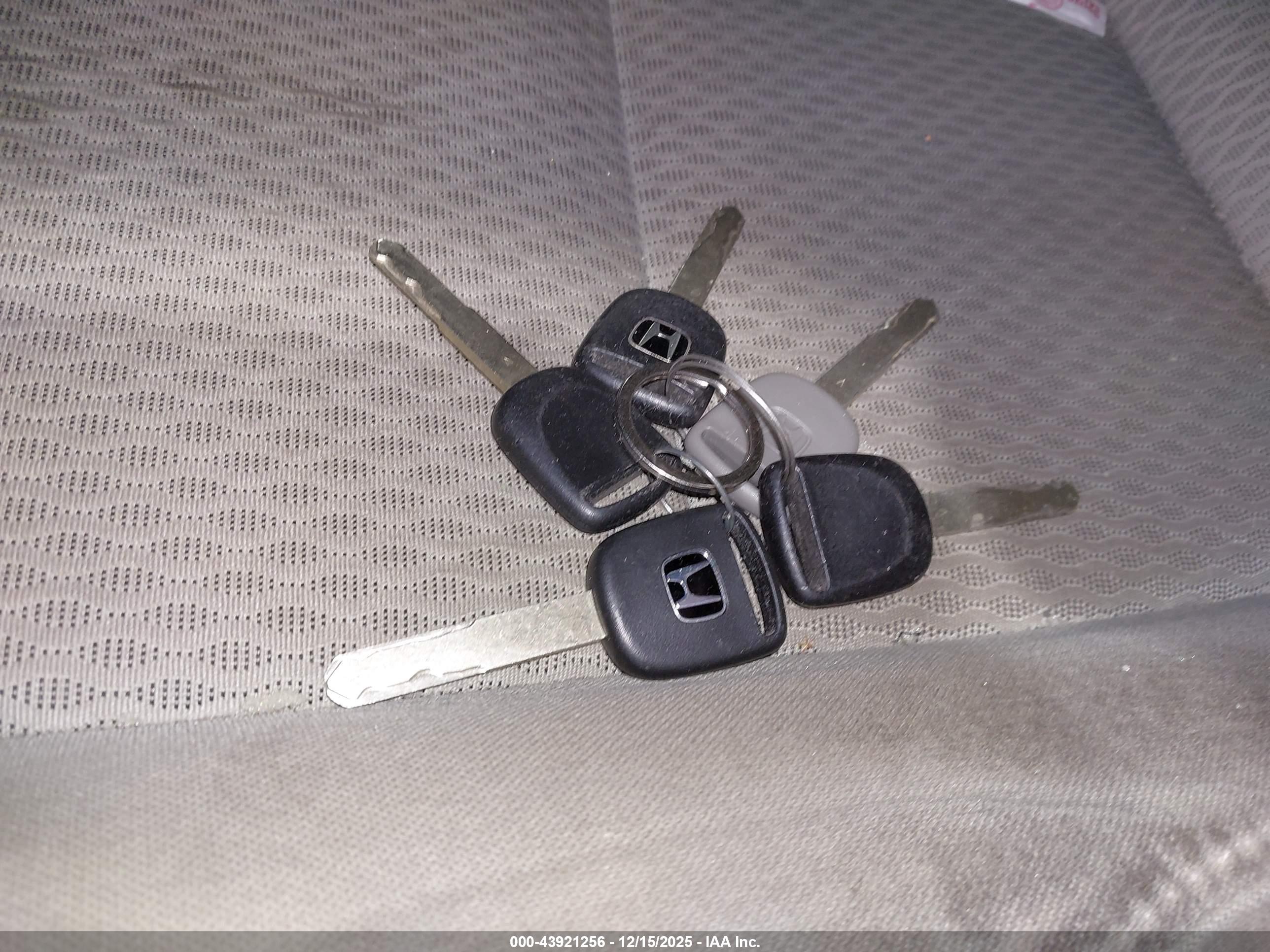 HONDA ELEMENT image 11