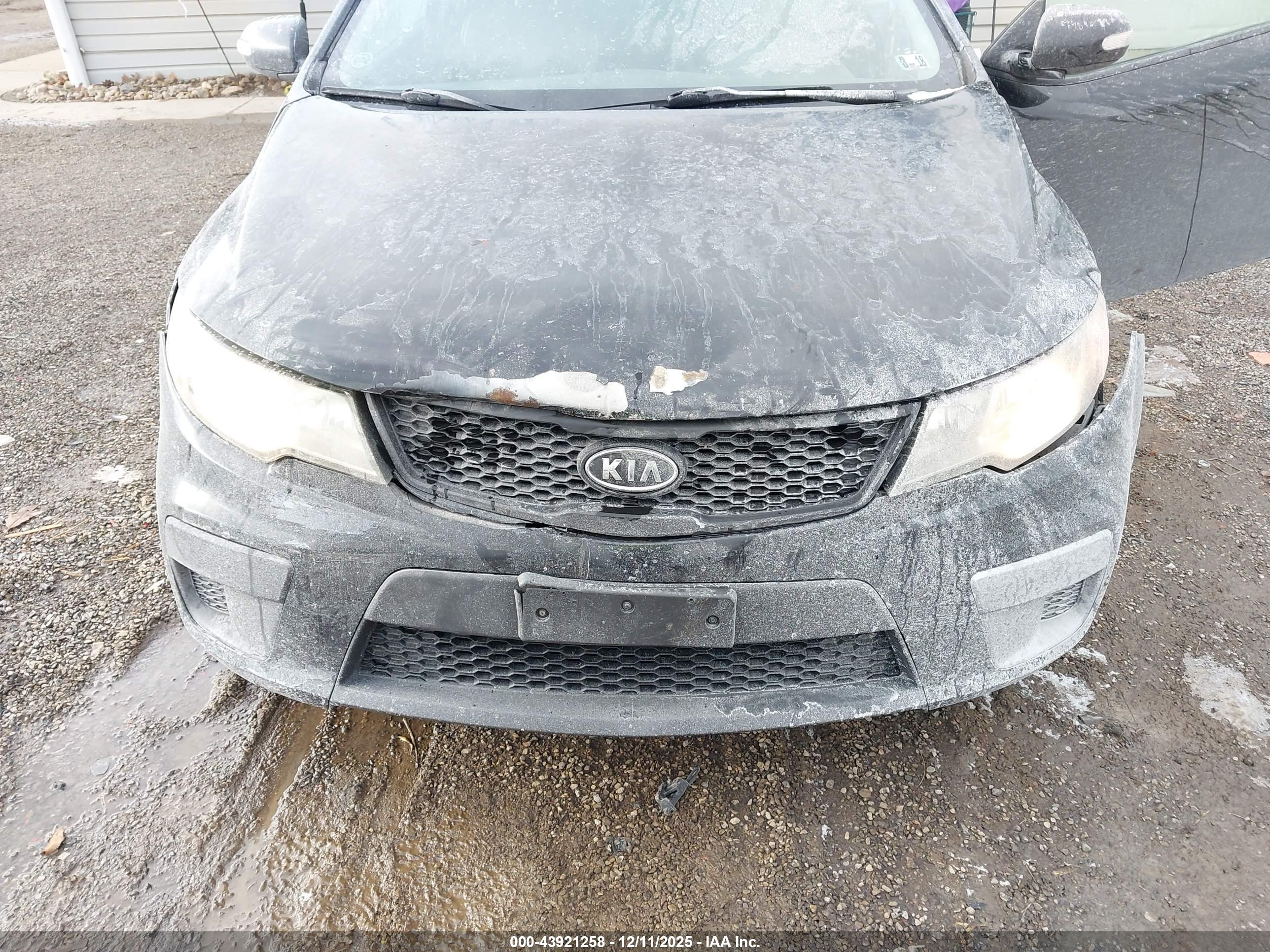KIA FORTE image 6