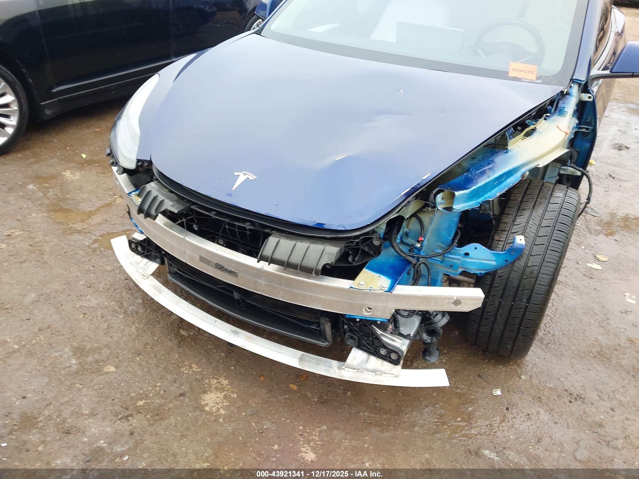 TESLA MODEL image 6