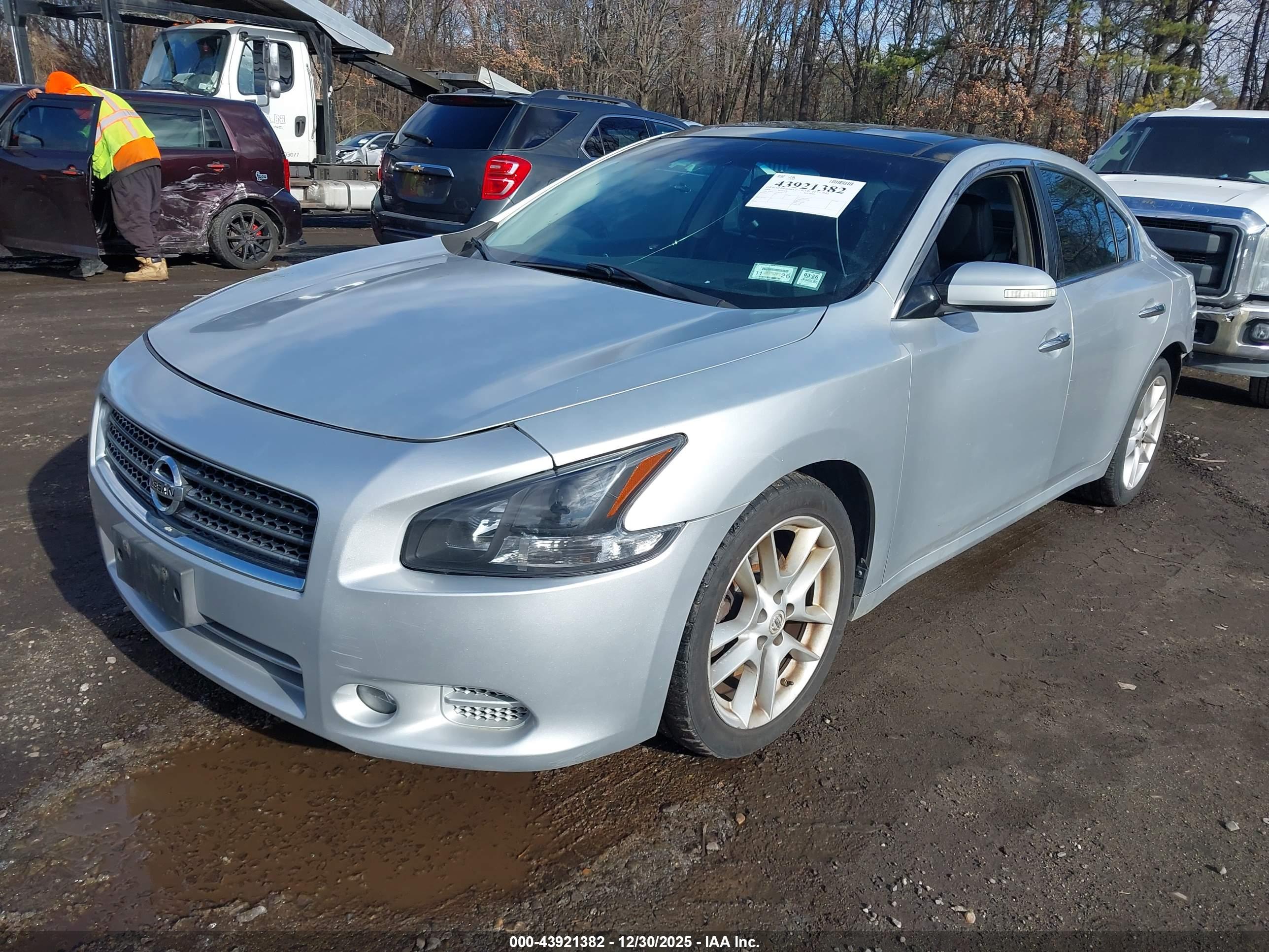NISSAN MAXIMA image 2
