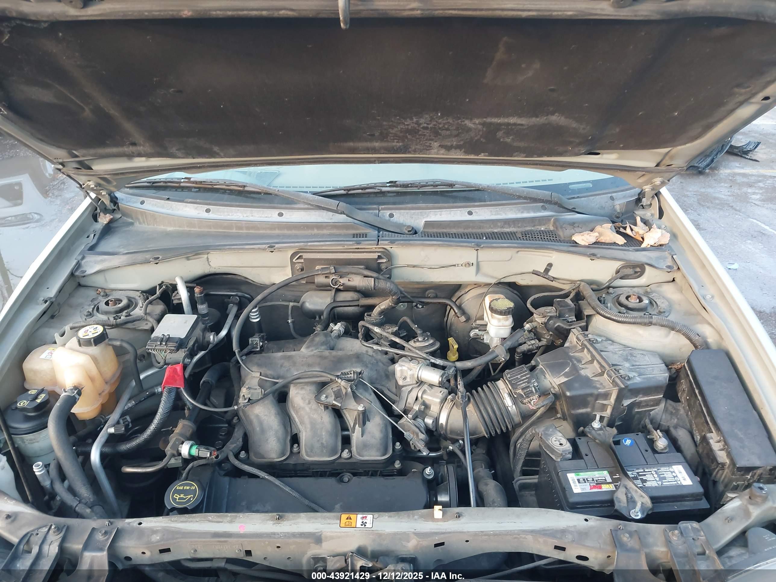 FORD ESCAPE image 10