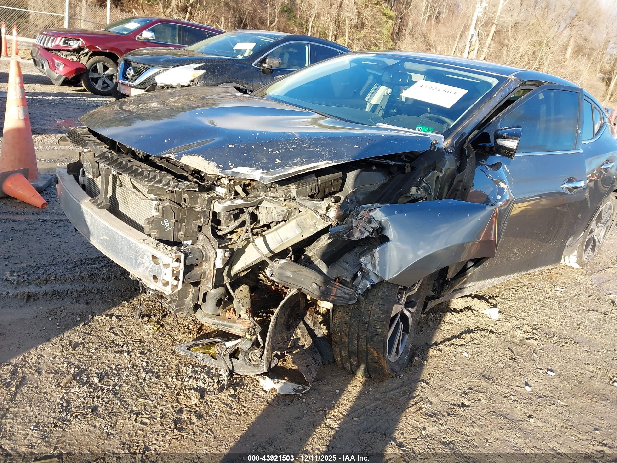 NISSAN MAXIMA image 2