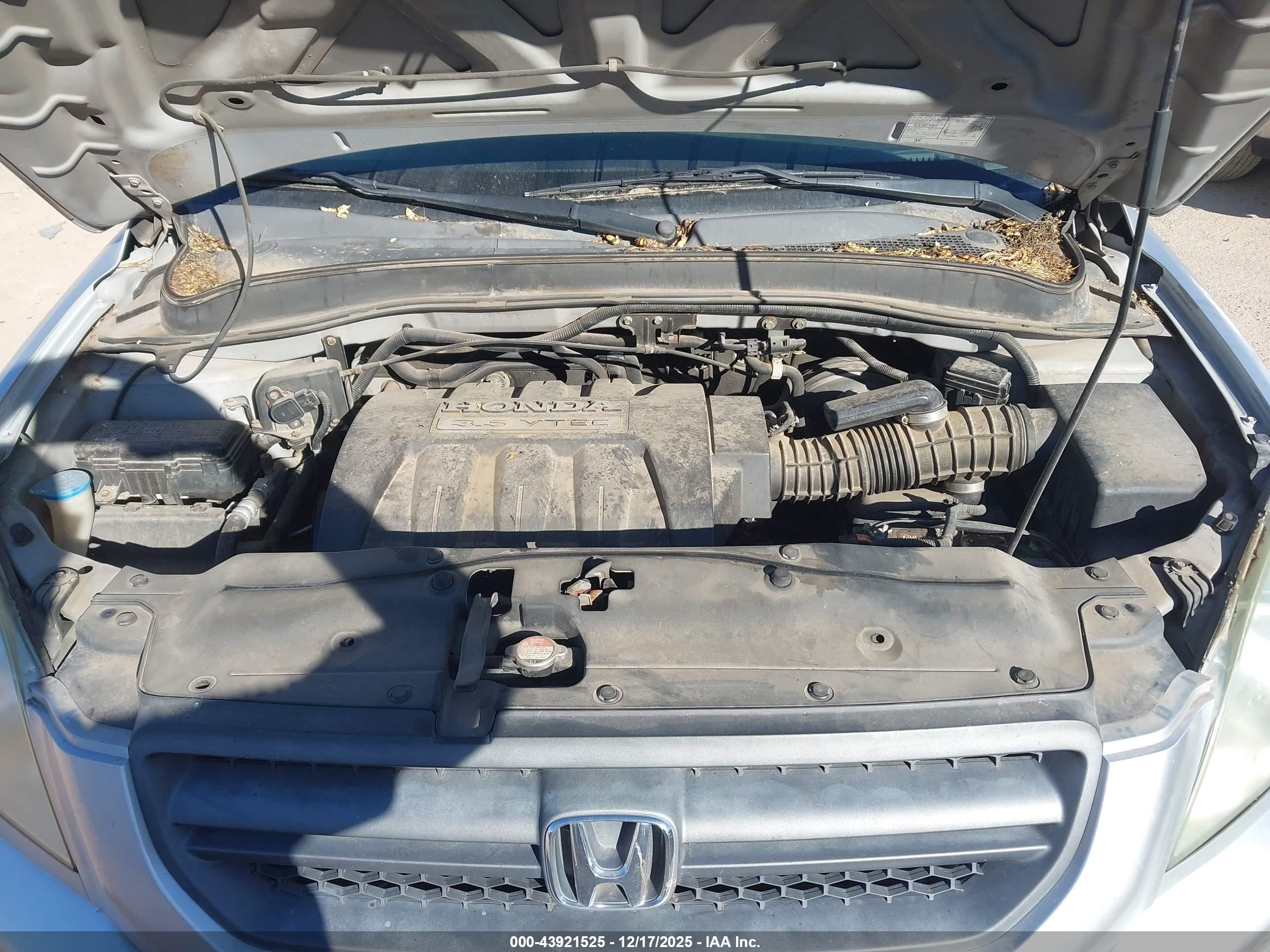 HONDA PILOT image 10