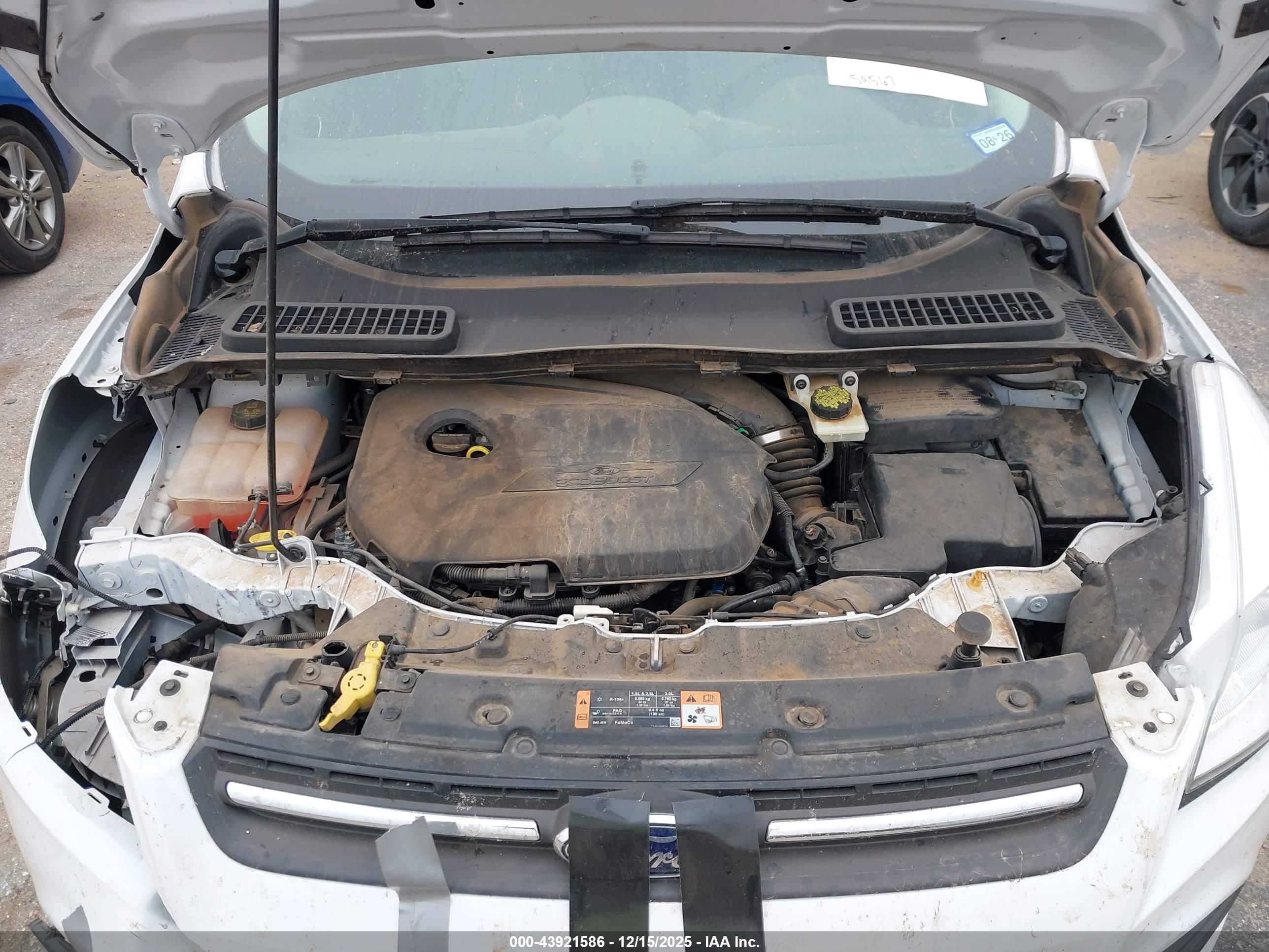 FORD ESCAPE image 10