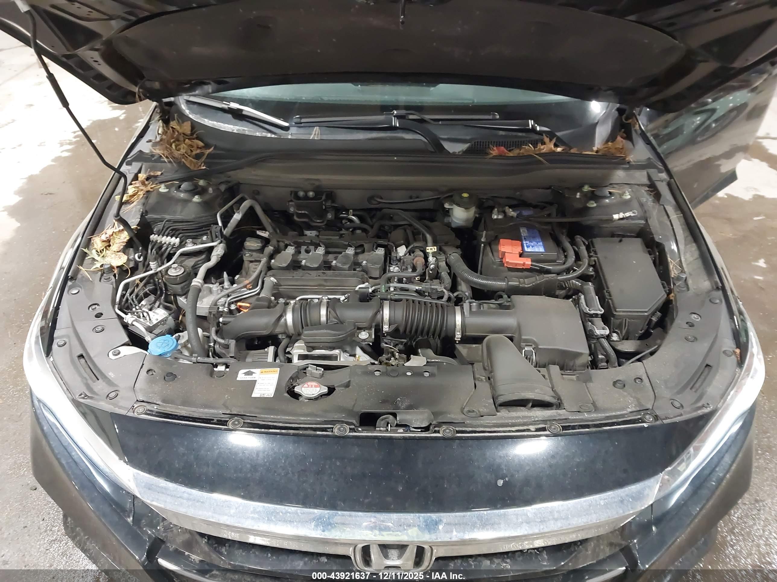 HONDA ACCORD image 10