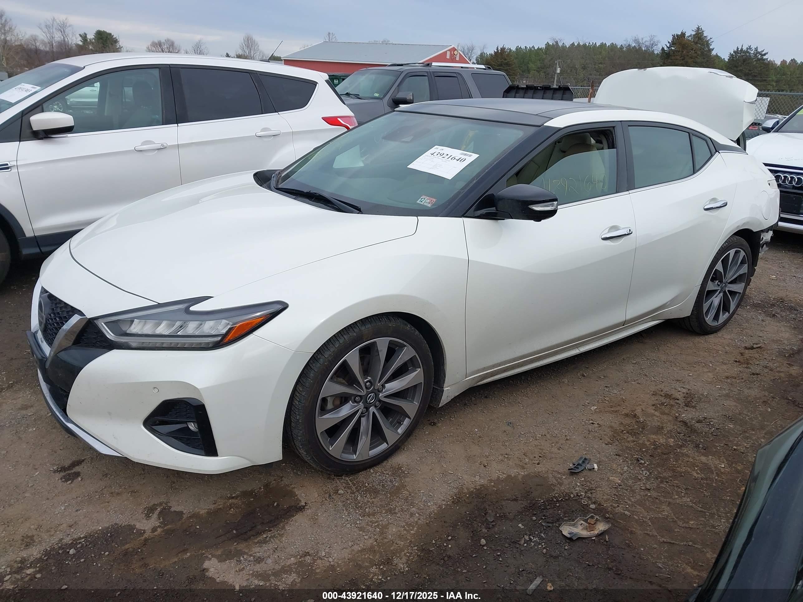 NISSAN MAXIMA image 2