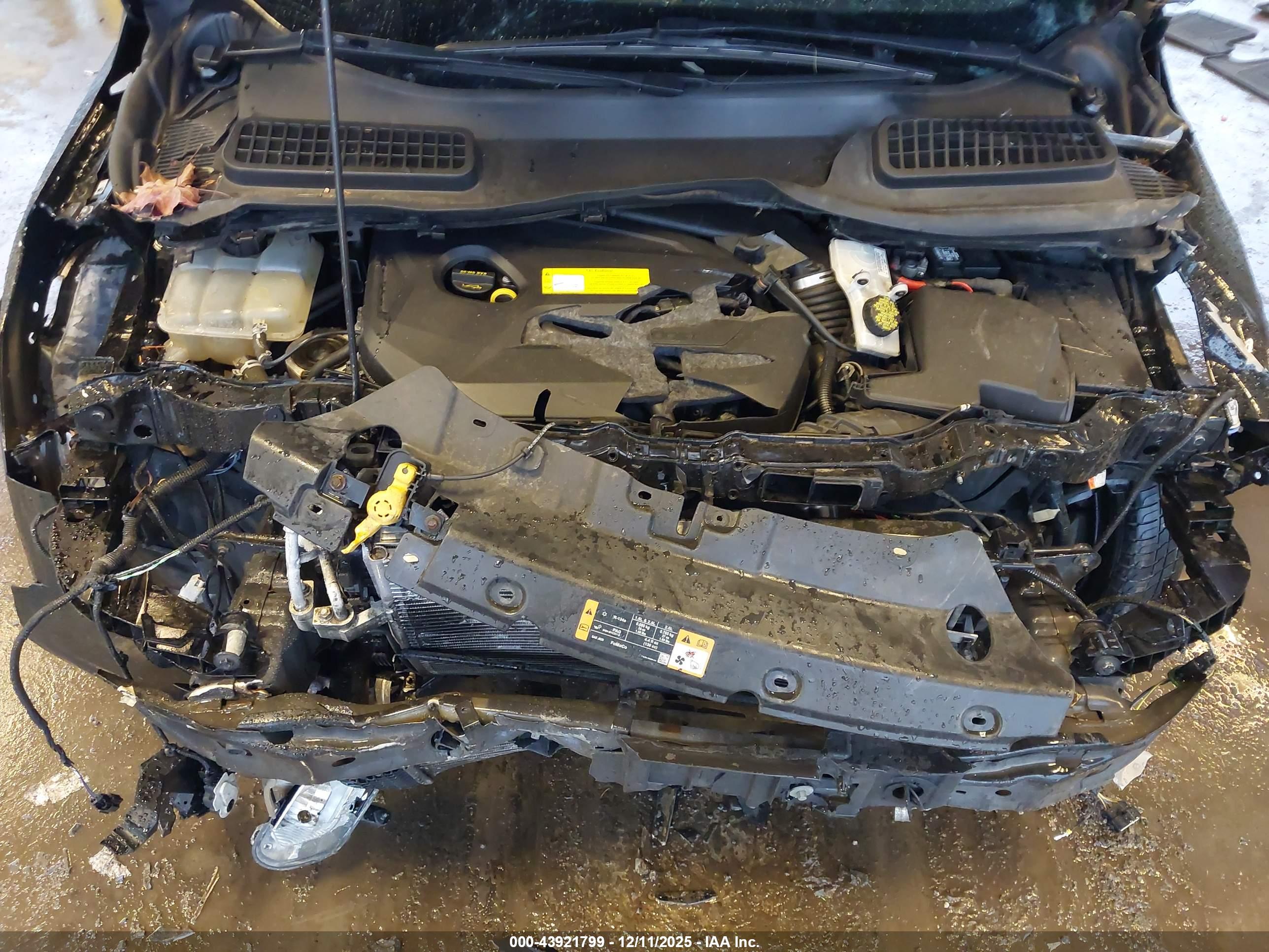 FORD ESCAPE image 10