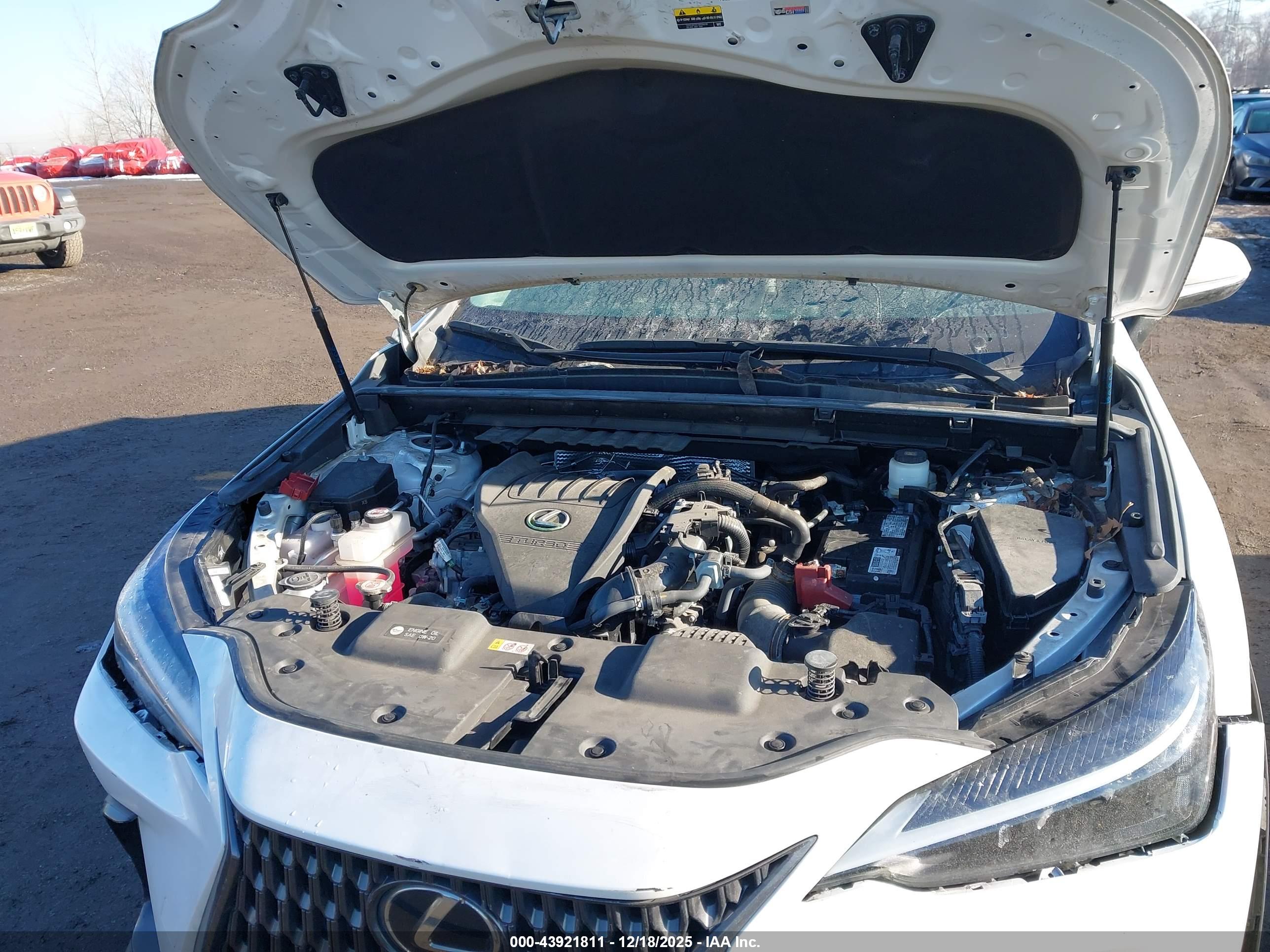 LEXUS NX image 10