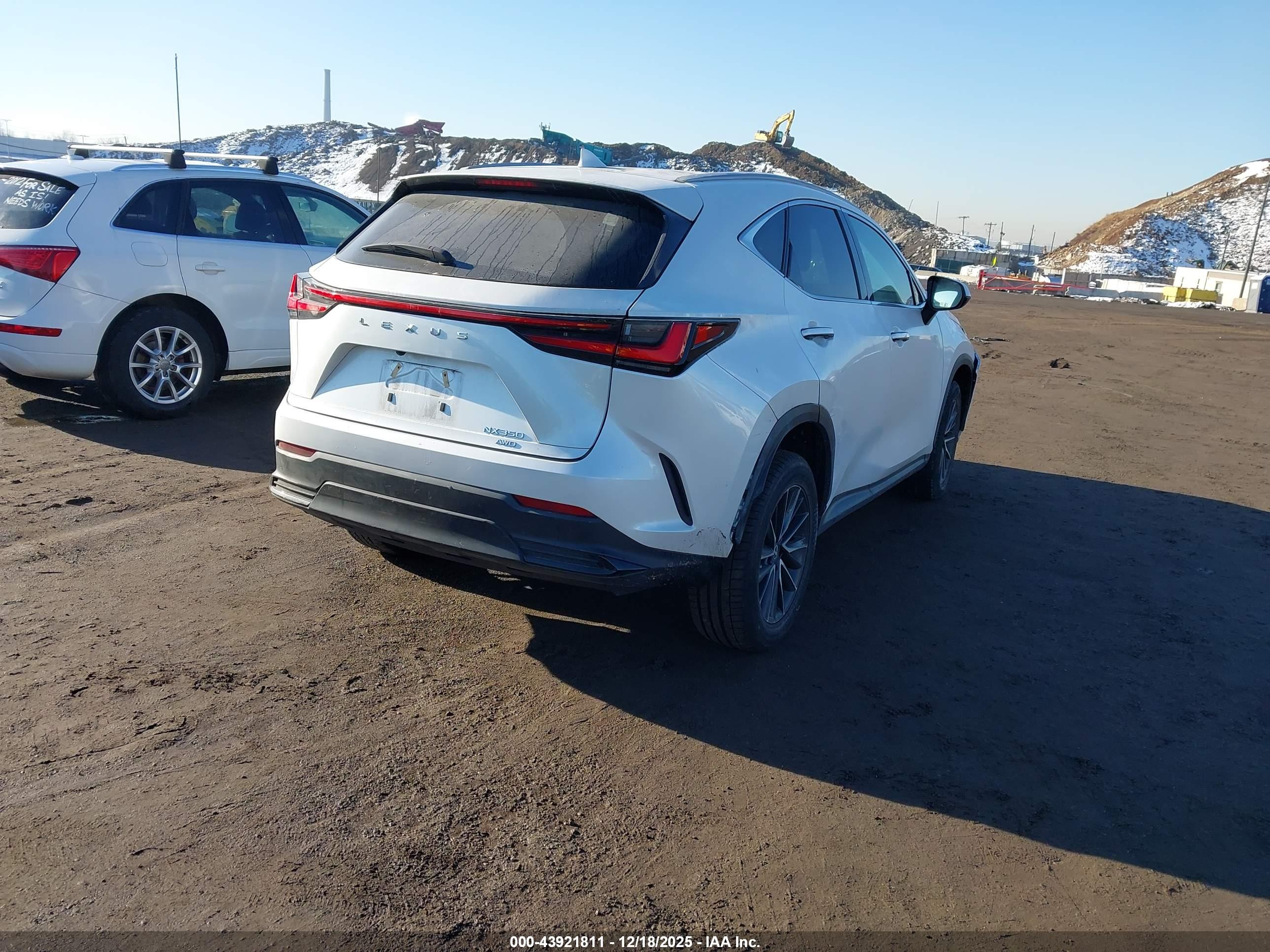 LEXUS NX image 4
