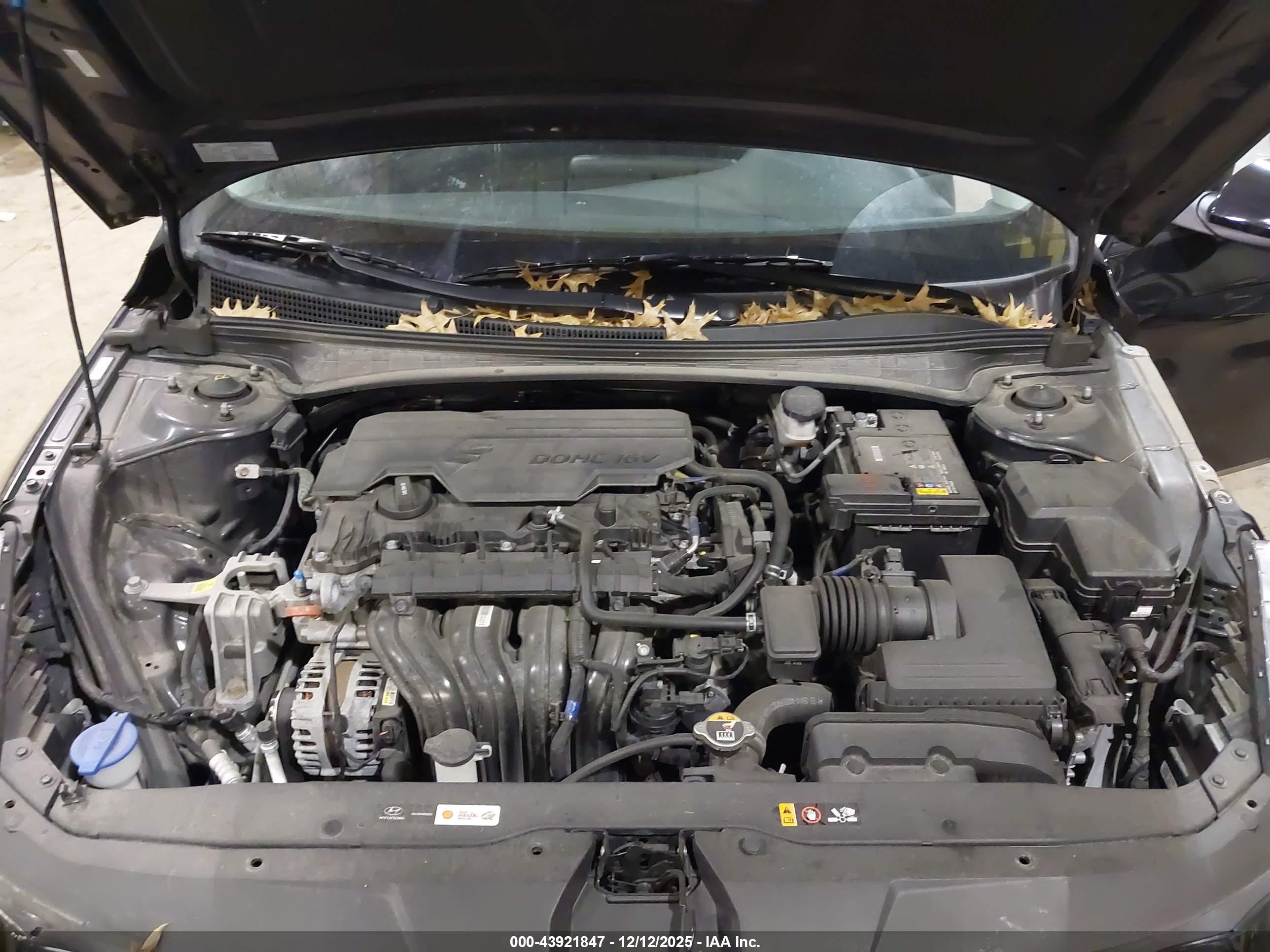 HYUNDAI ELANTRA image 10