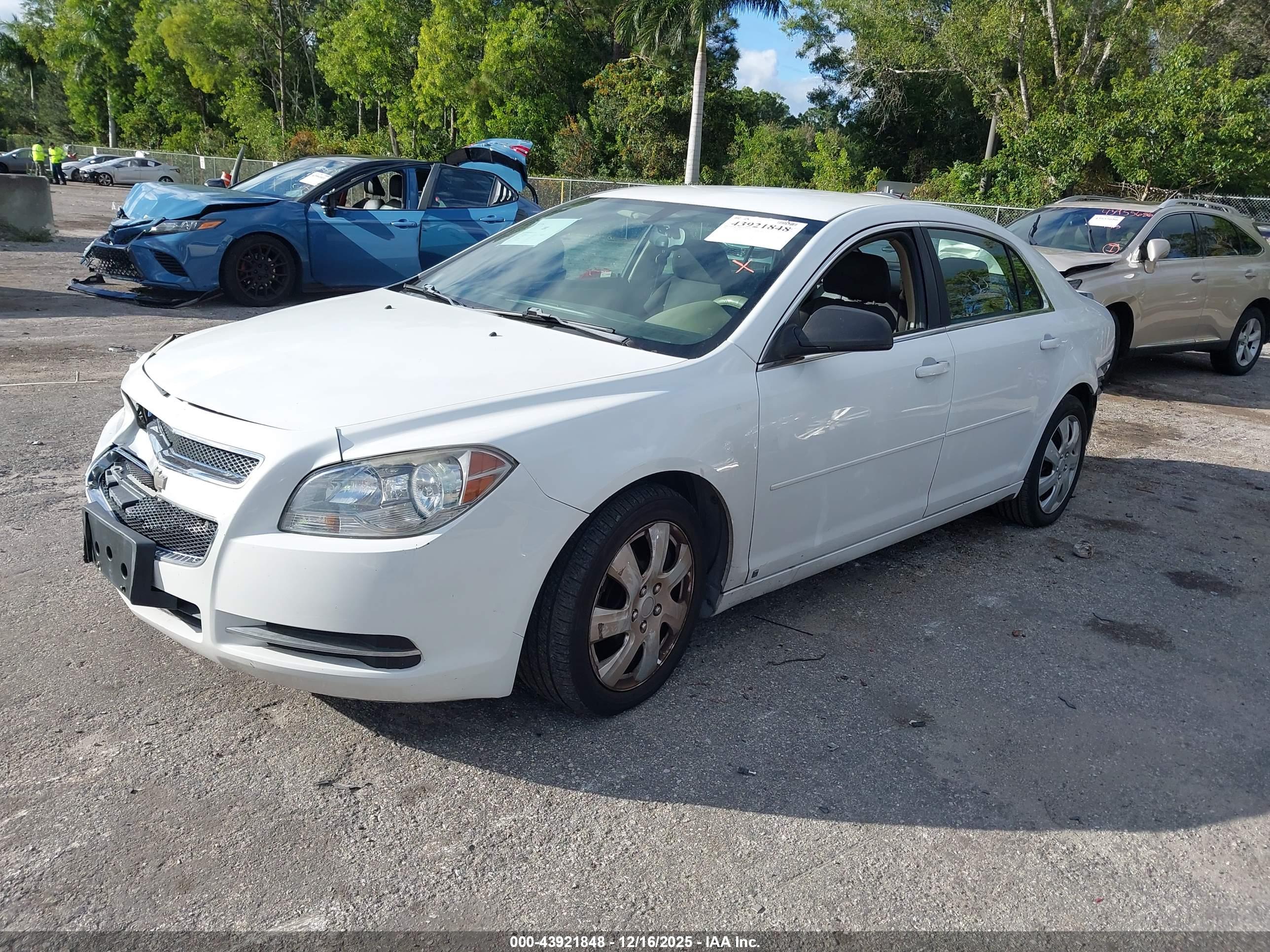 CHEVROLET MALIBU image 2
