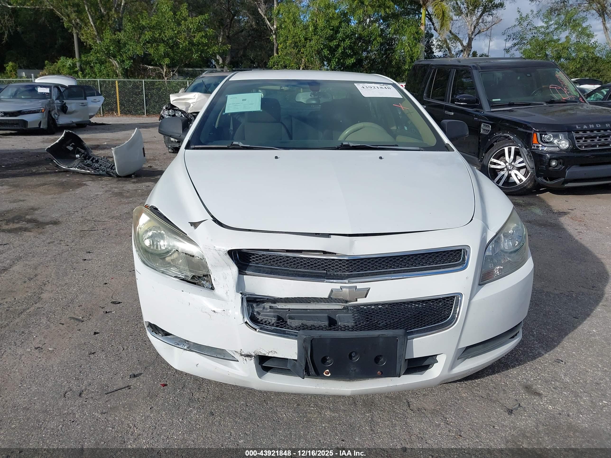 CHEVROLET MALIBU image 6