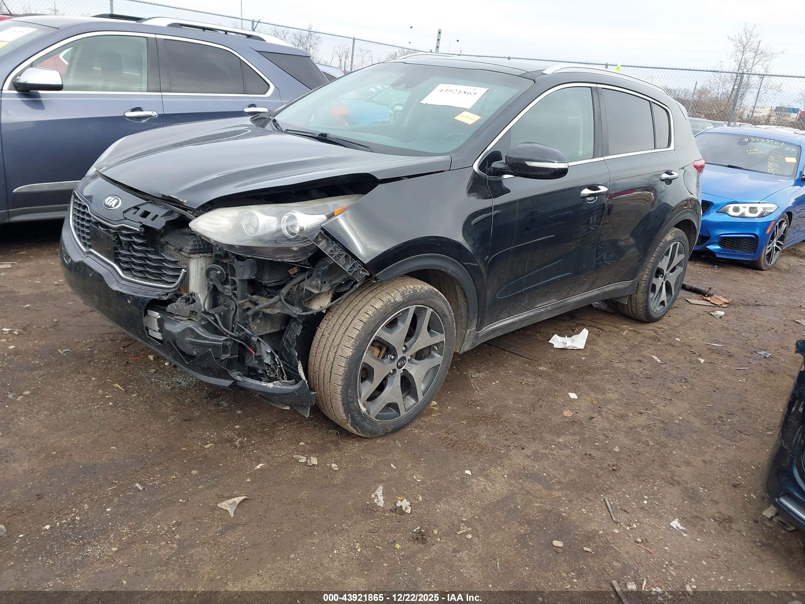 KIA SPORTAGE image 2