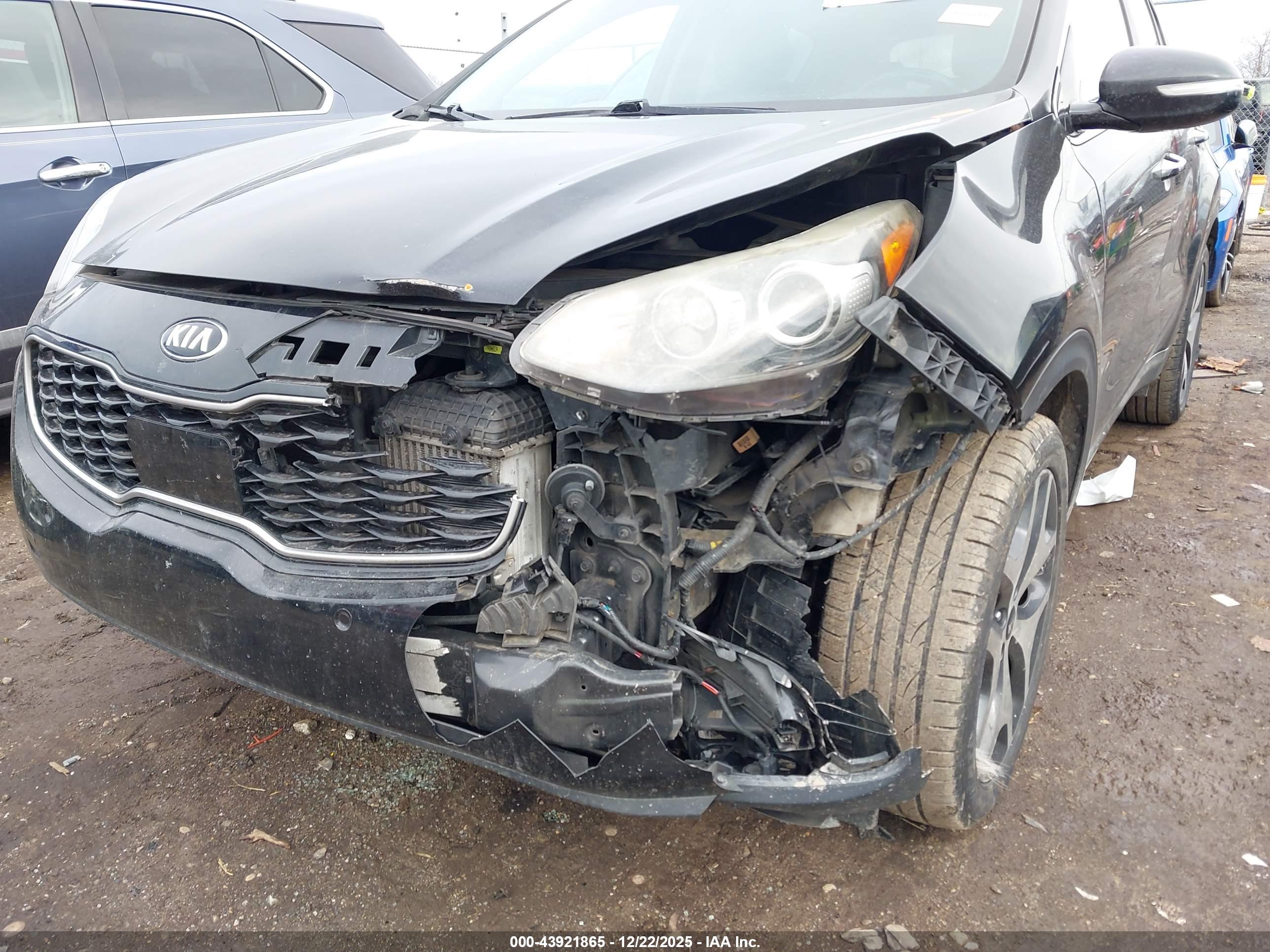 KIA SPORTAGE image 6