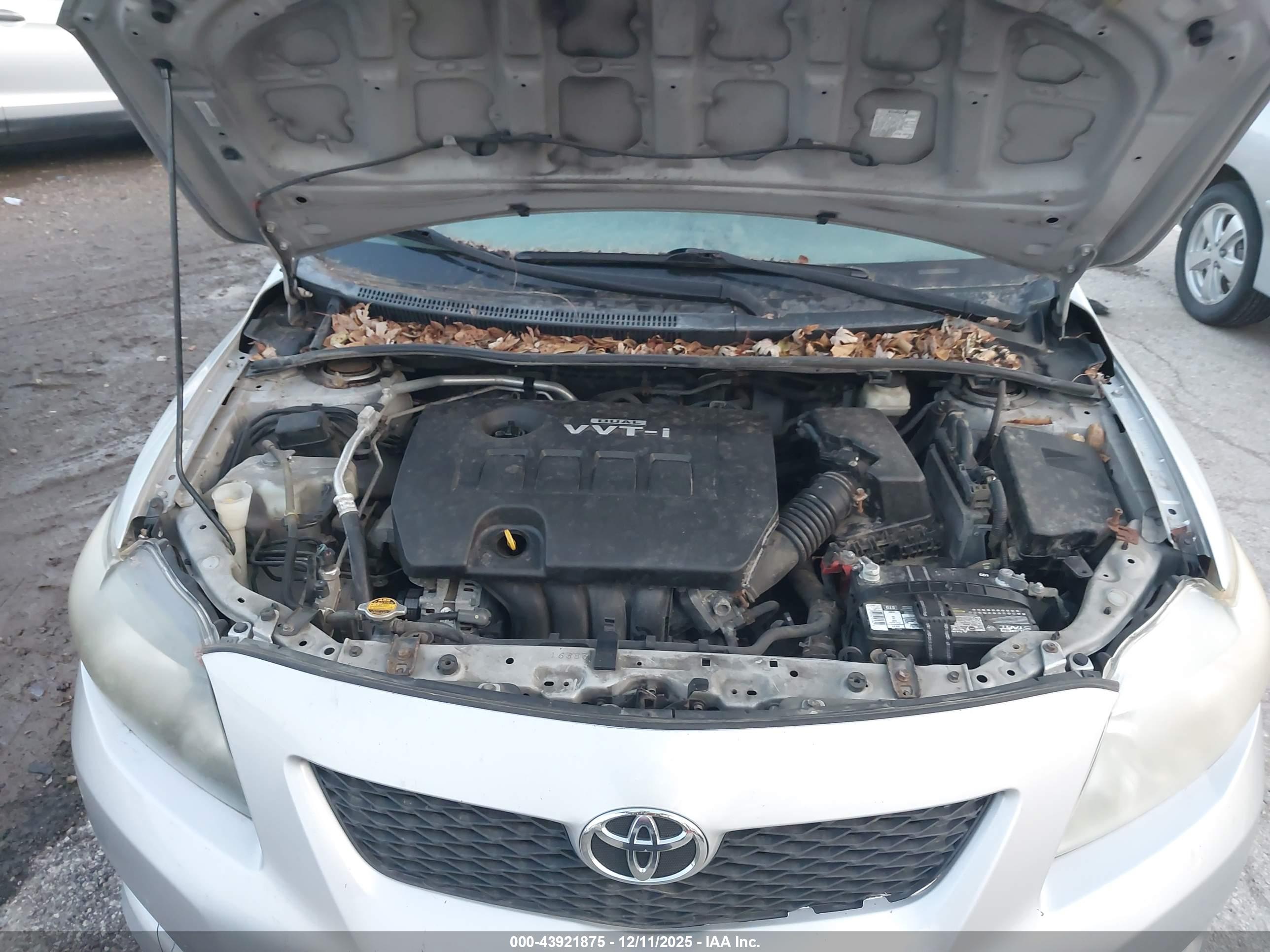 TOYOTA COROLLA image 10