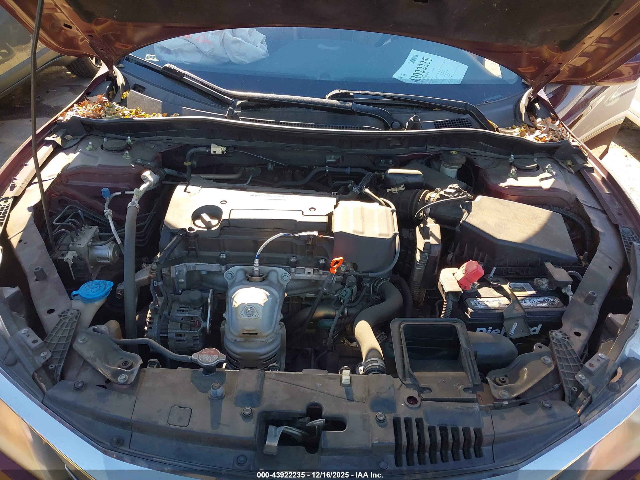 HONDA ACCORD image 10