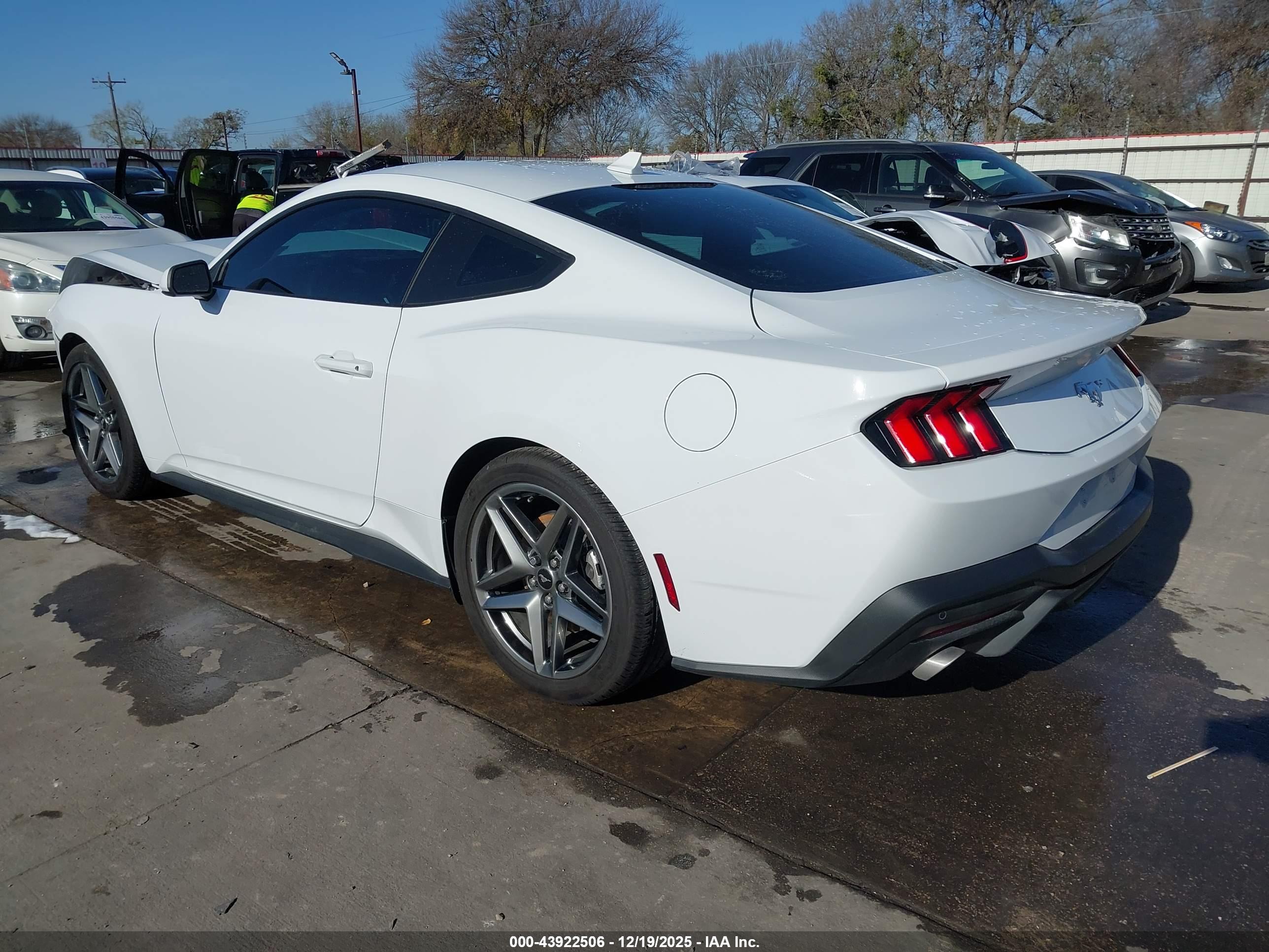 FORD MUSTANG image 3