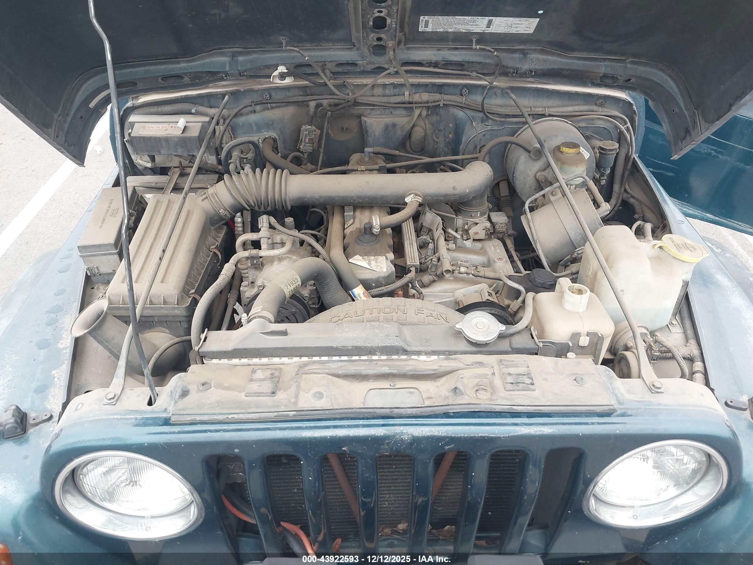 JEEP WRANGLER image 10