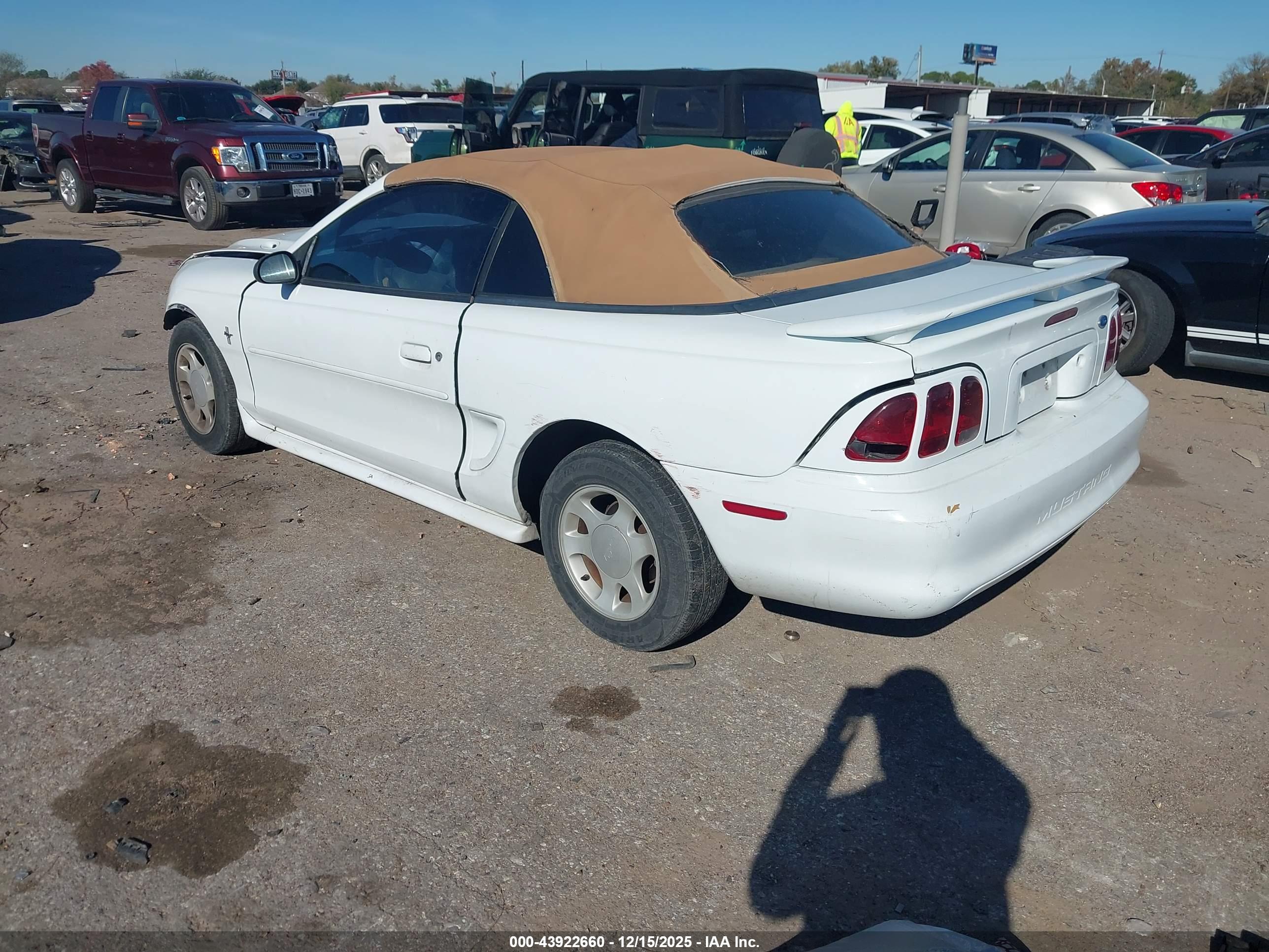 FORD MUSTANG image 3