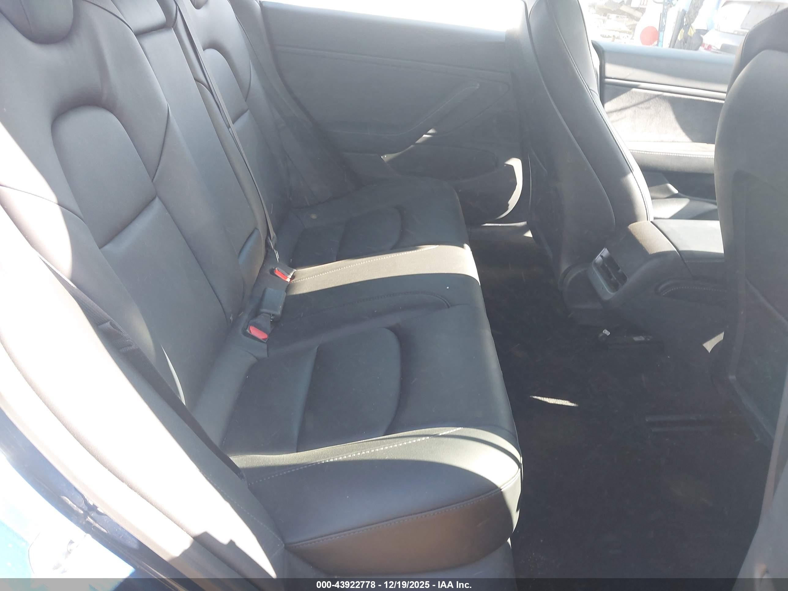 TESLA MODEL image 8