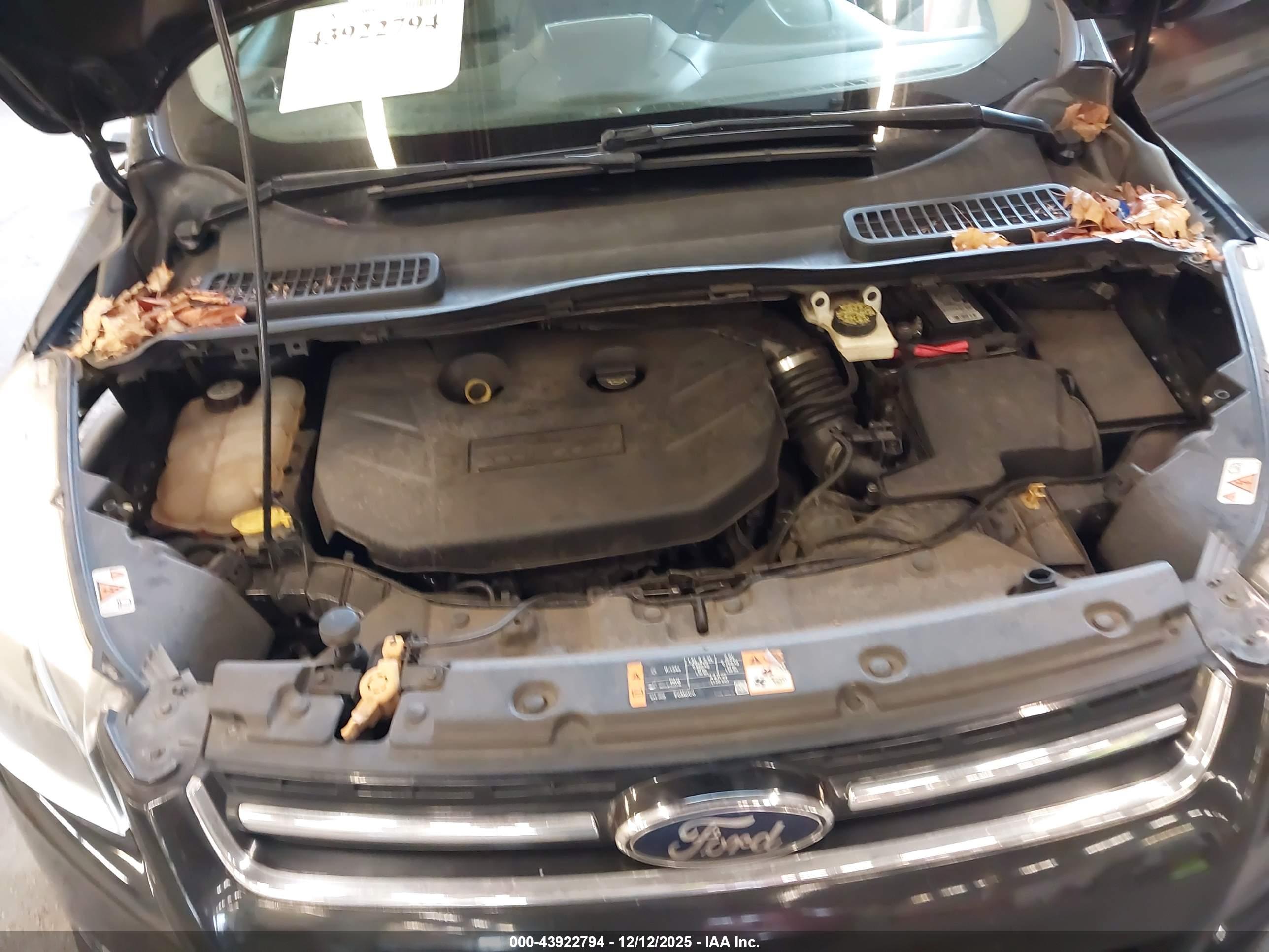 FORD ESCAPE image 10