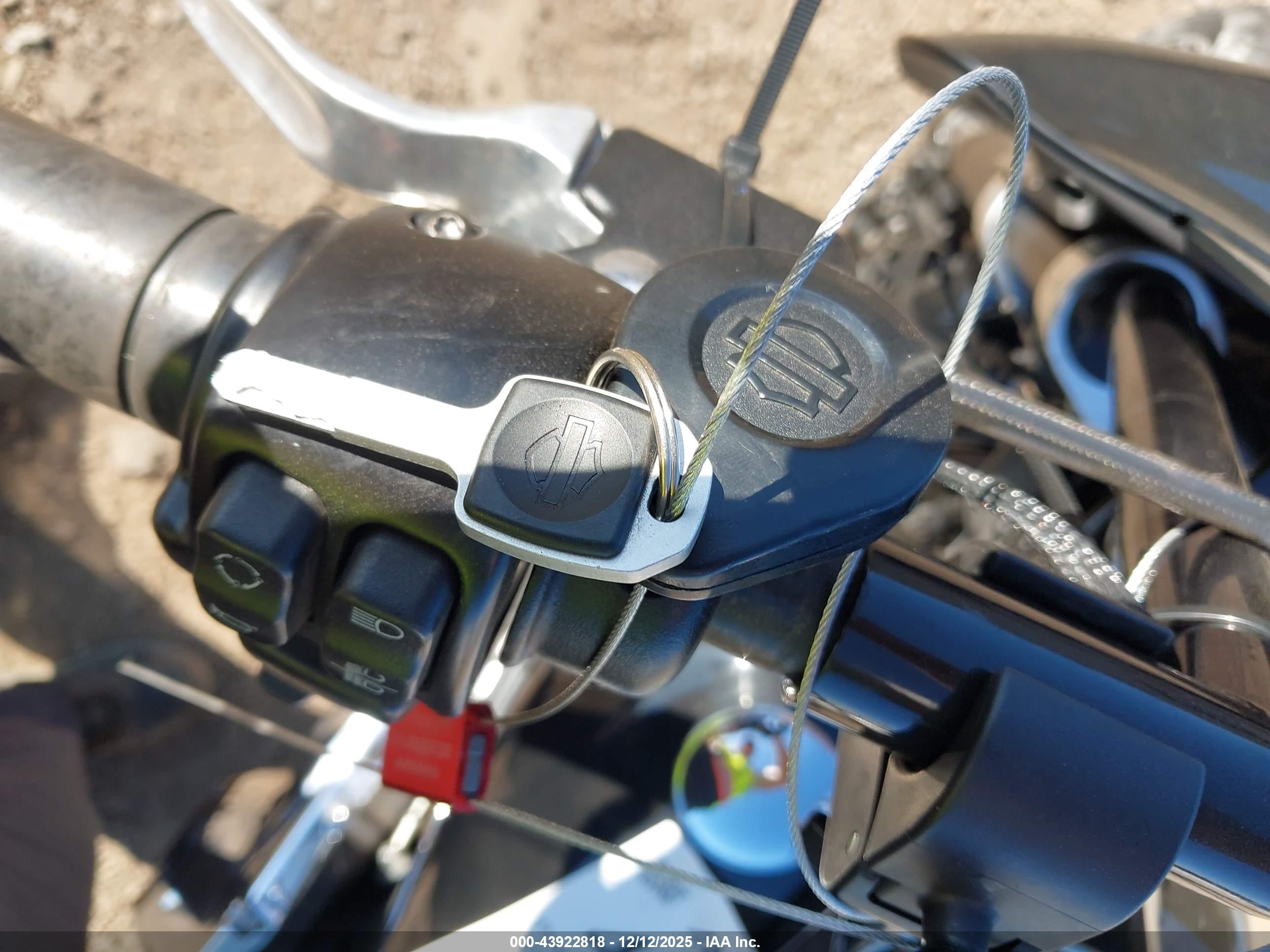 HARLEY-DAVIDSON FLSB image 11
