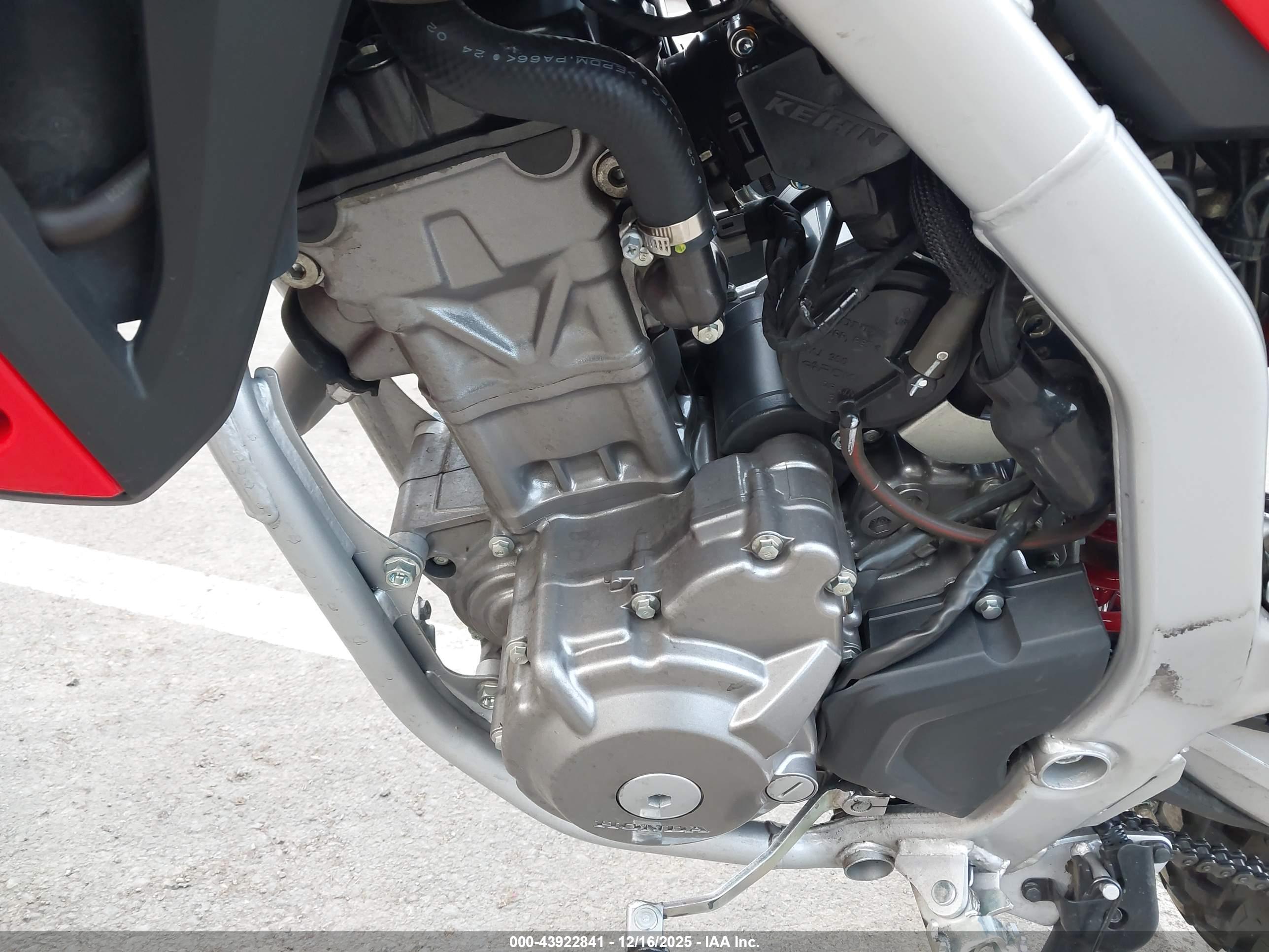 HONDA CRF300 image 9