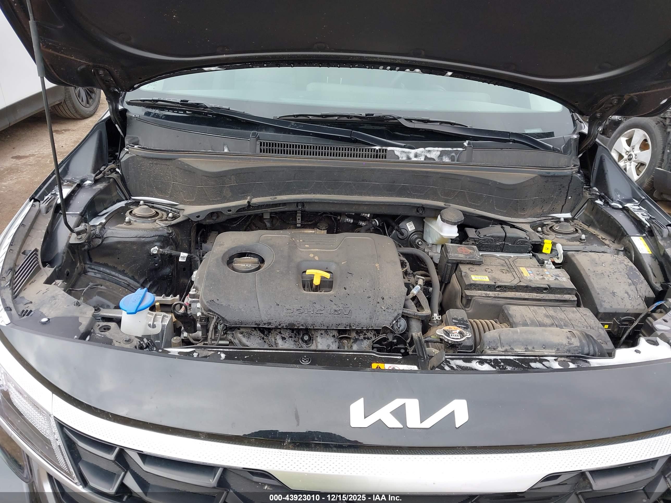 KIA SELTOS image 10