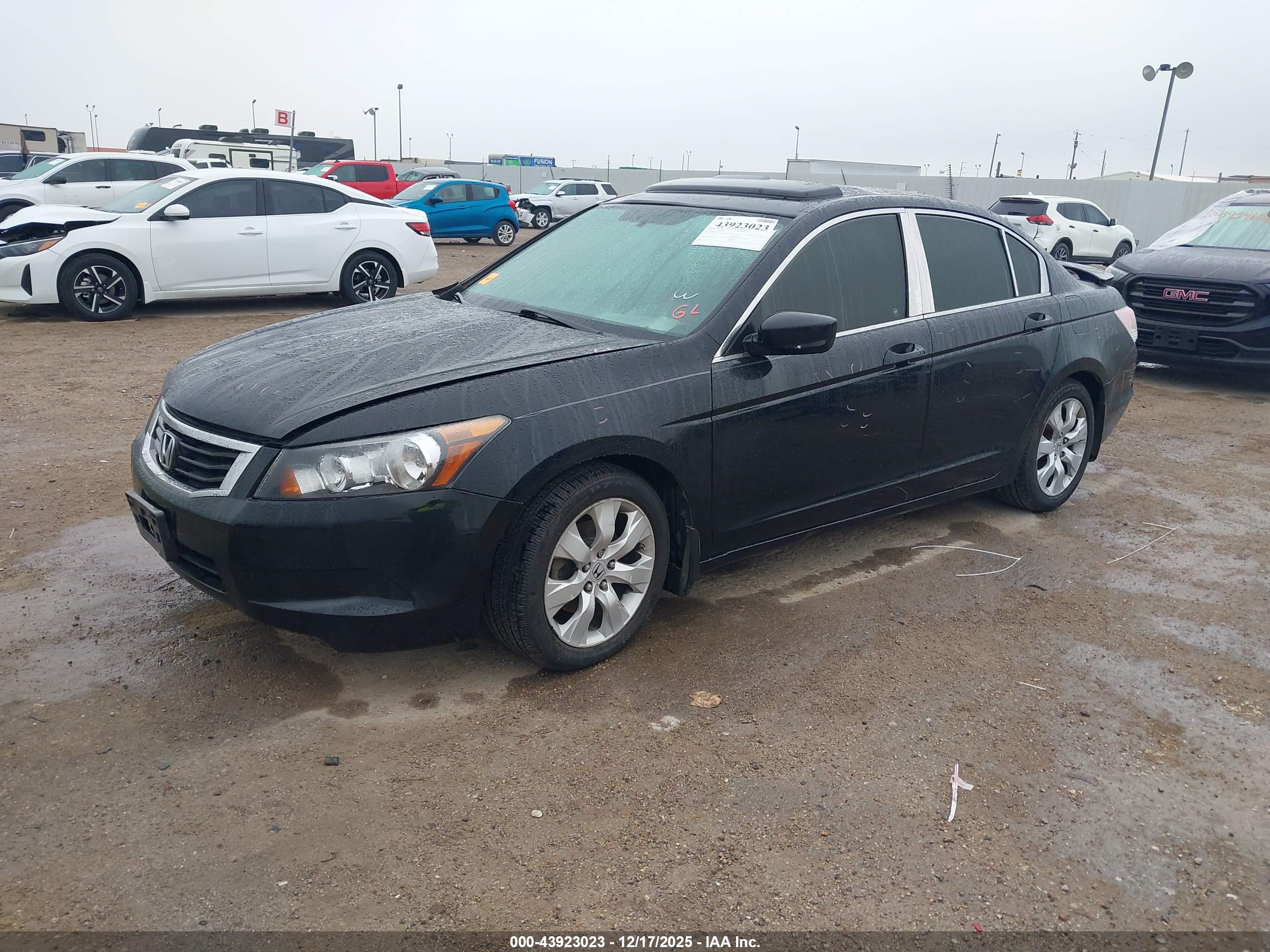 HONDA ACCORD image 2