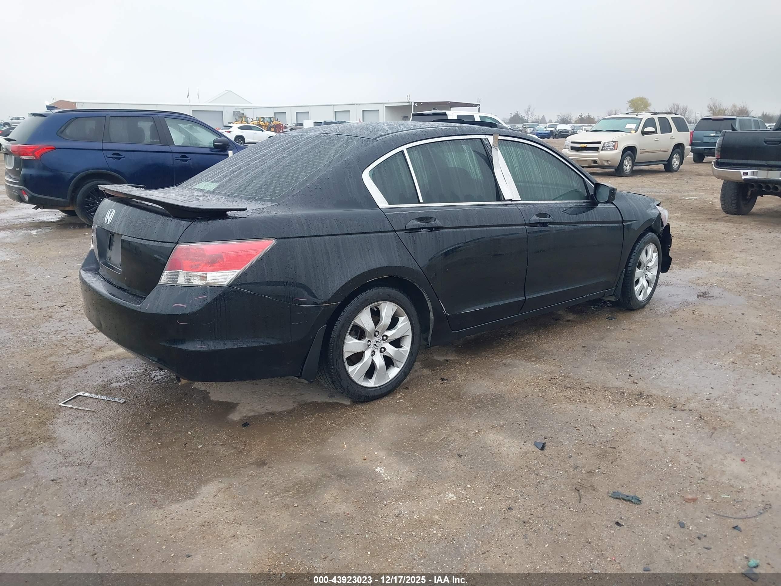 HONDA ACCORD image 4