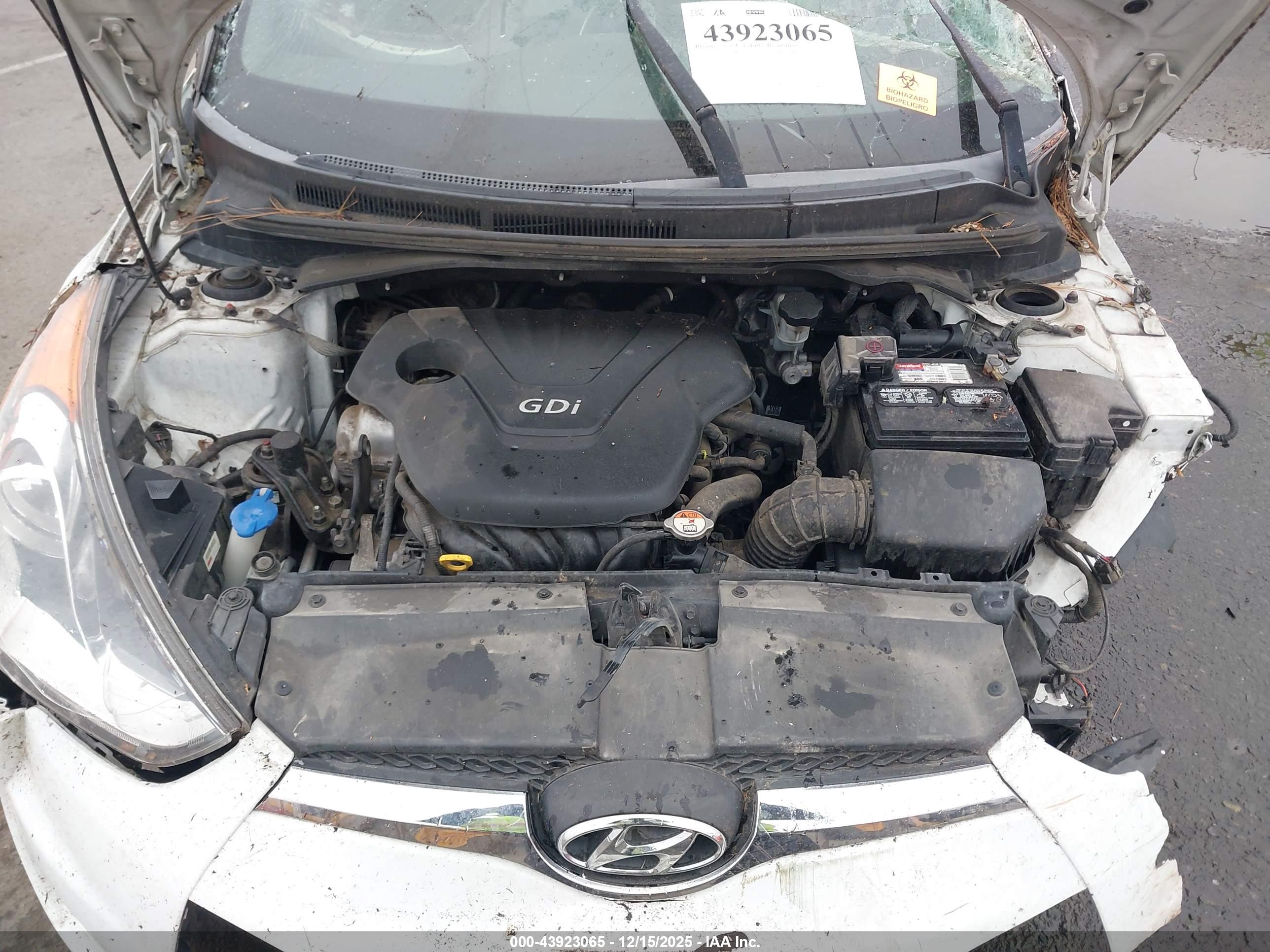 HYUNDAI VELOSTER image 10
