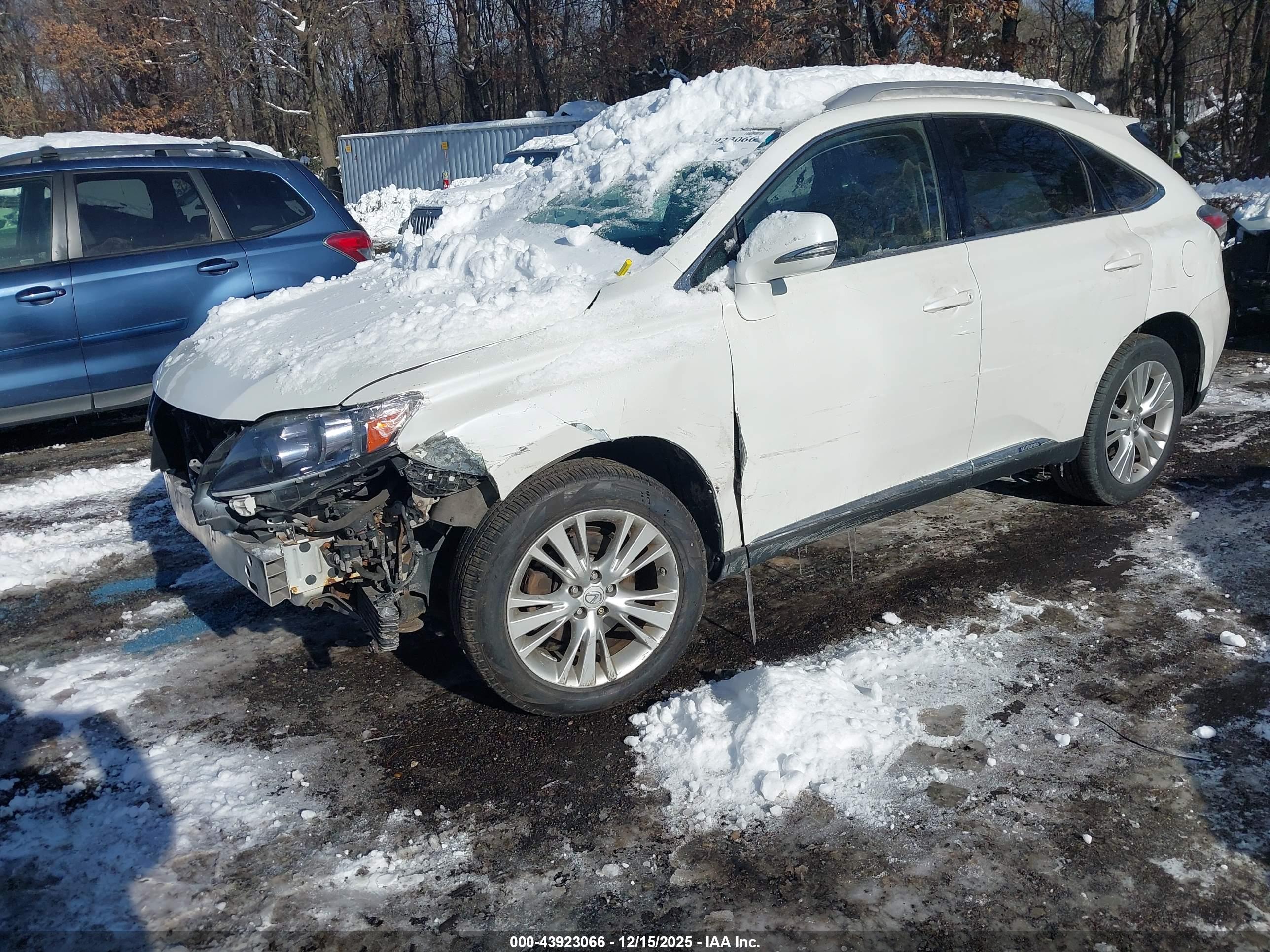 LEXUS RX image 2