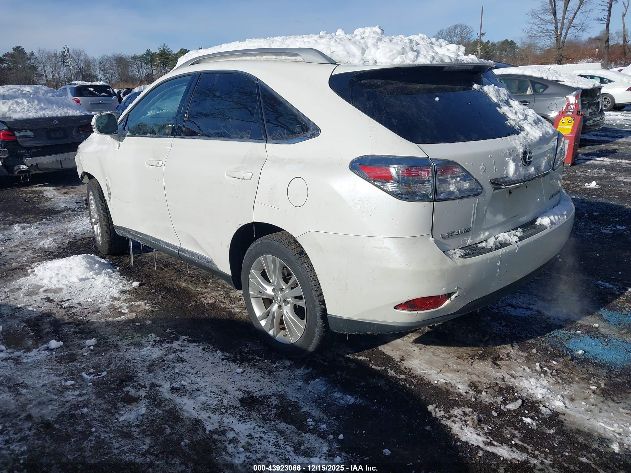 LEXUS RX image 3