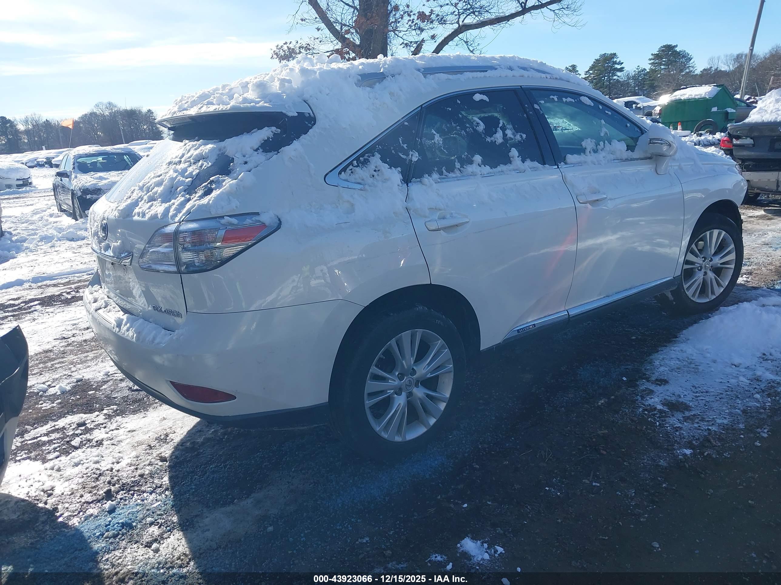 LEXUS RX image 4