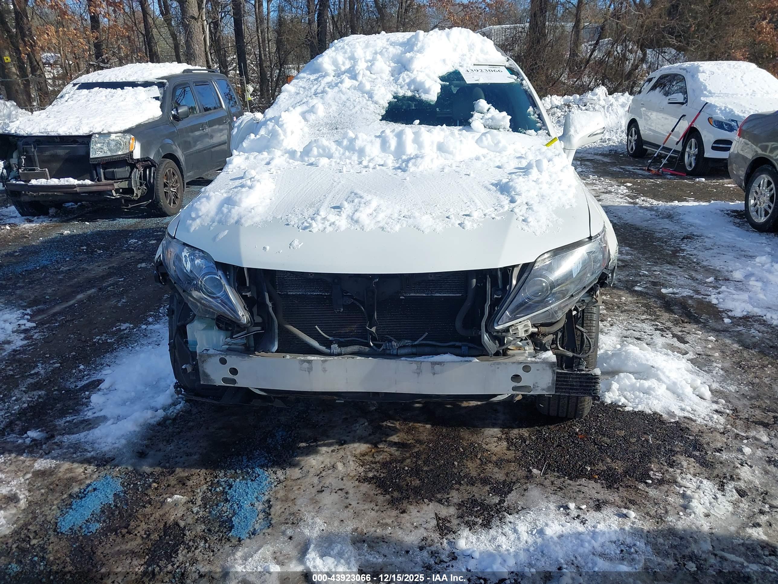 LEXUS RX image 6