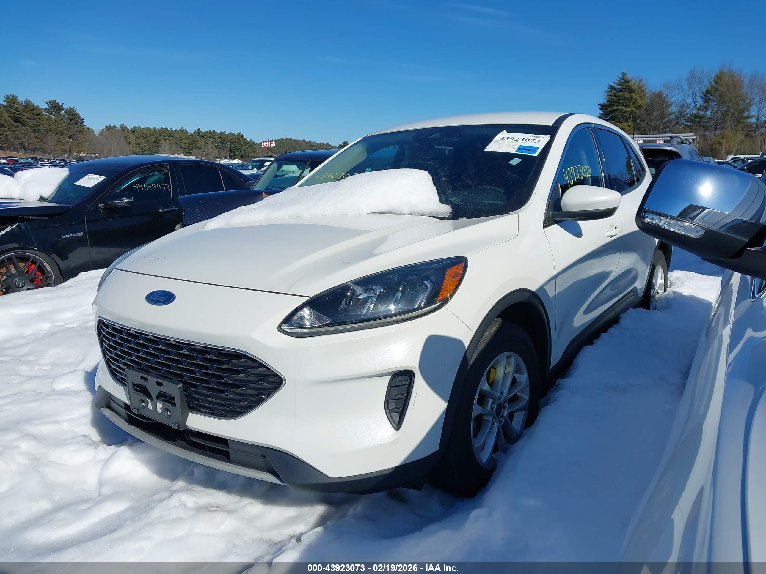 FORD ESCAPE image 2