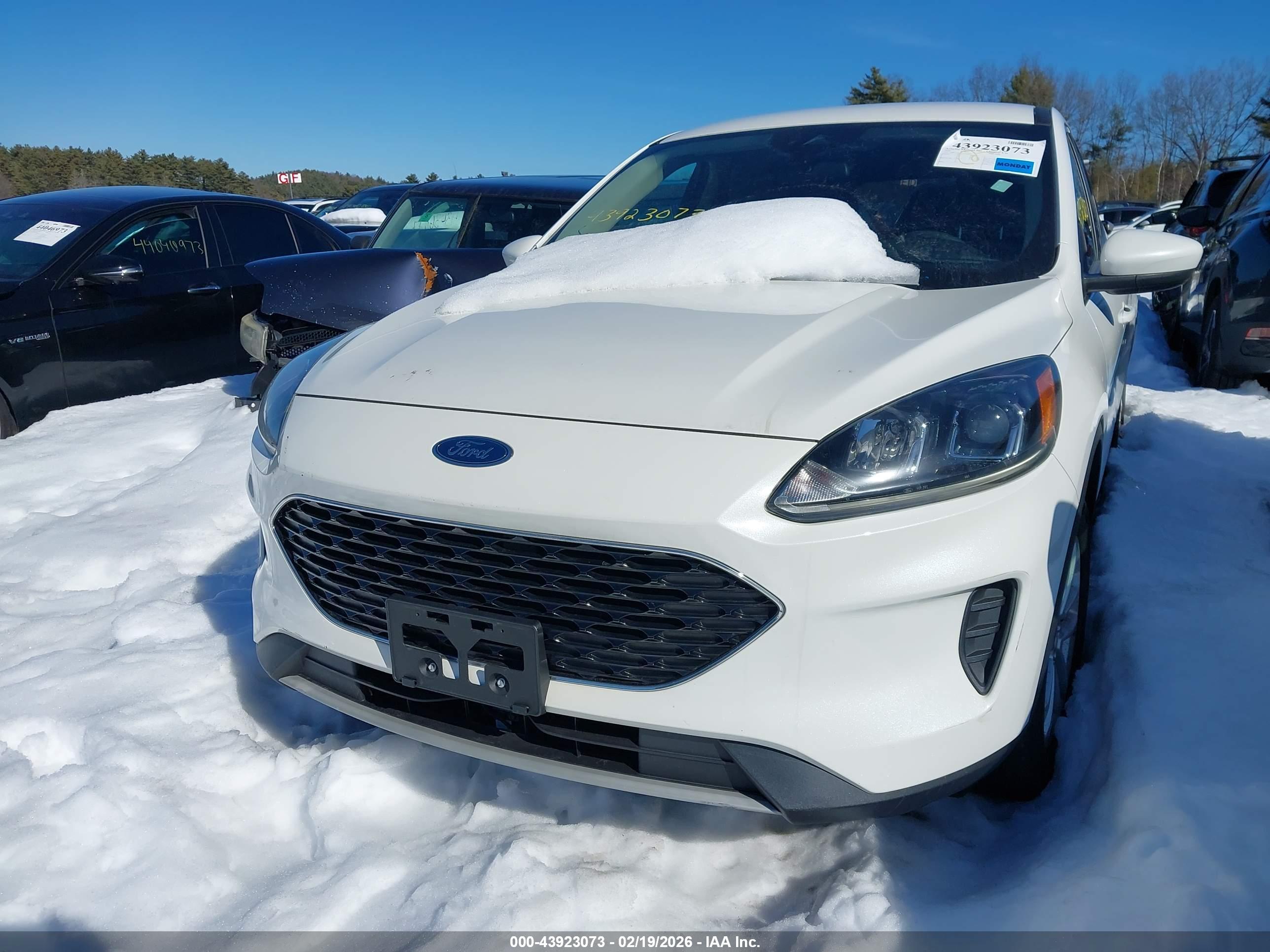 FORD ESCAPE image 6