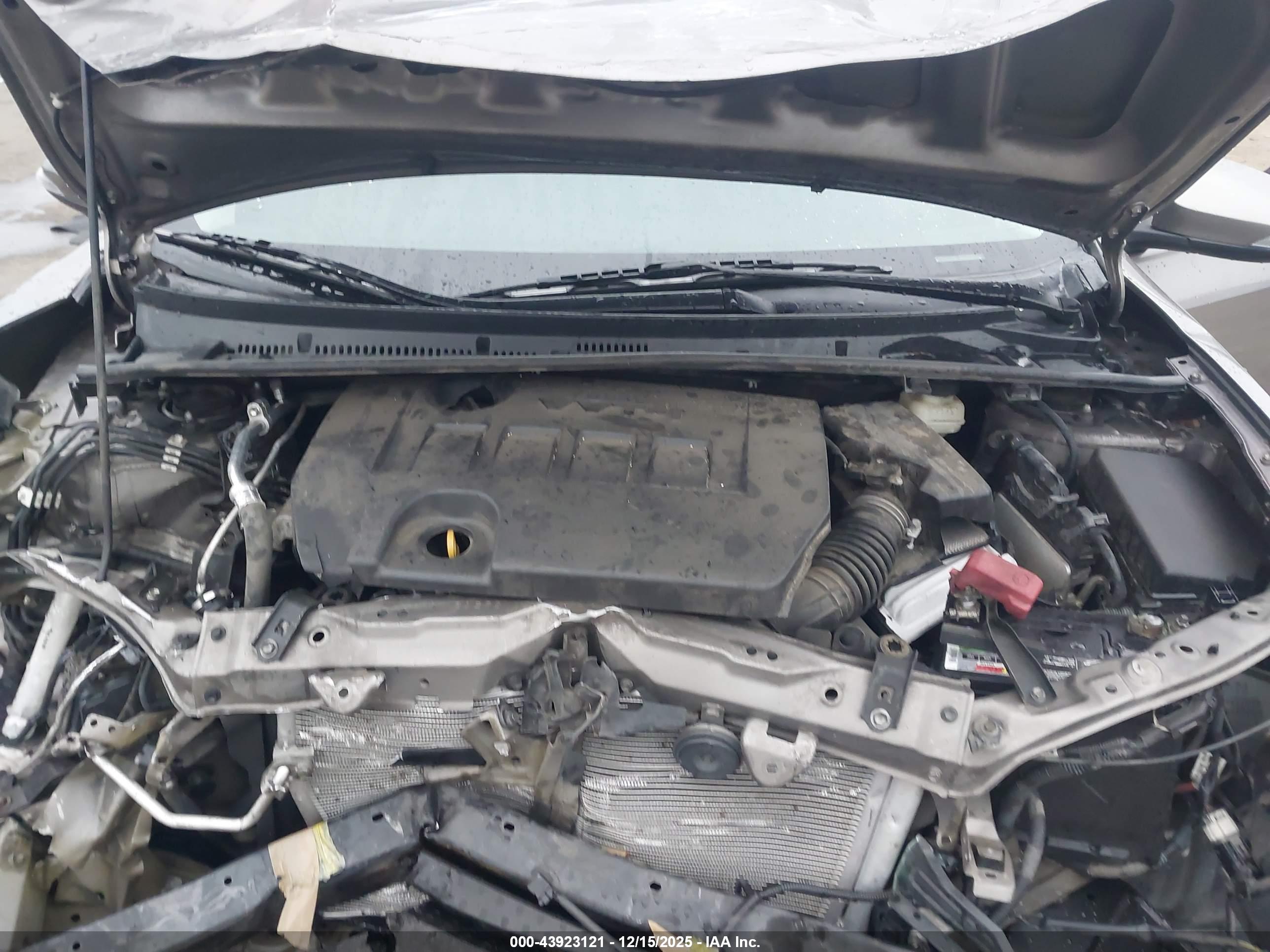 TOYOTA COROLLA image 10