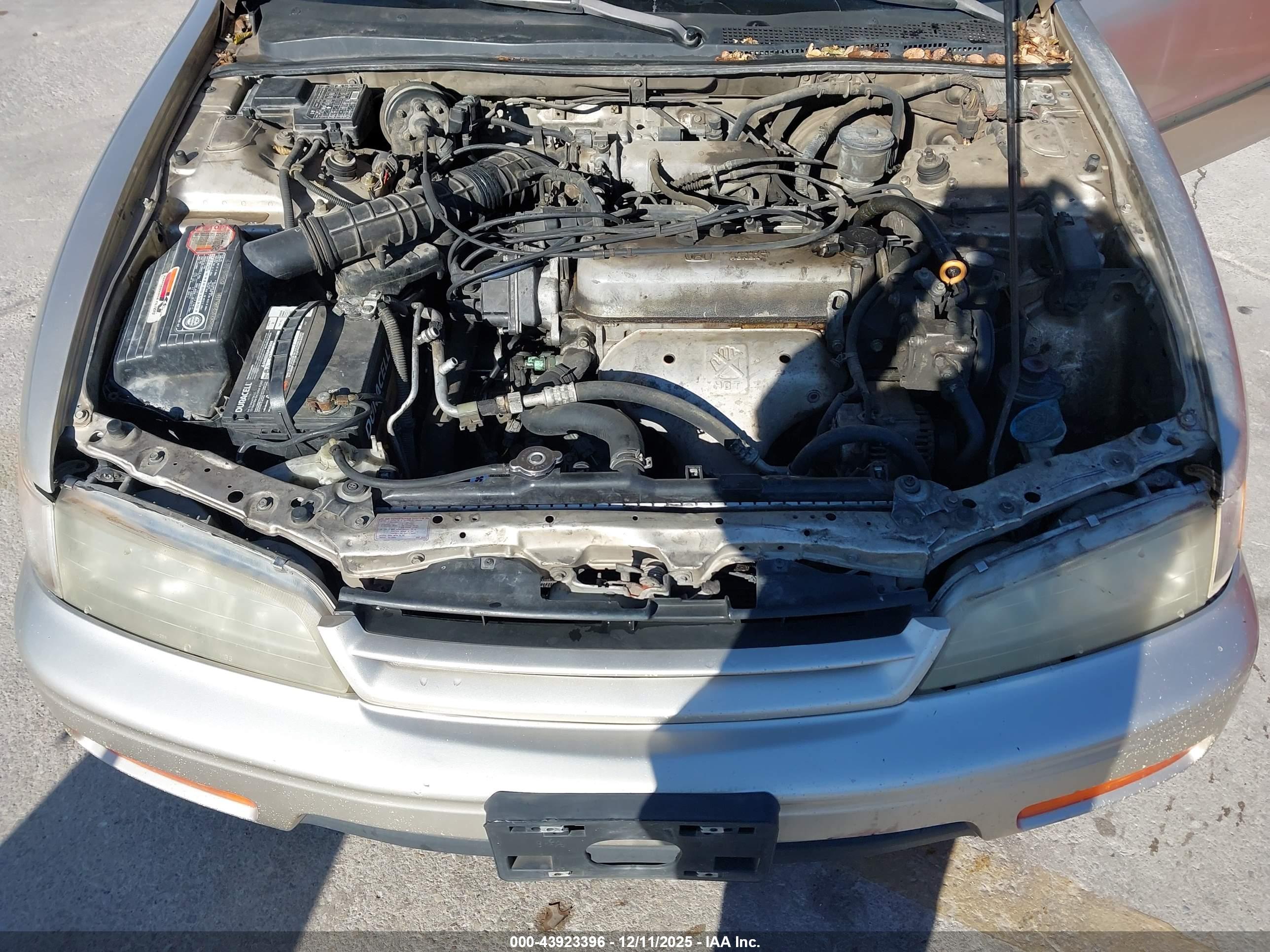 HONDA ACCORD image 10