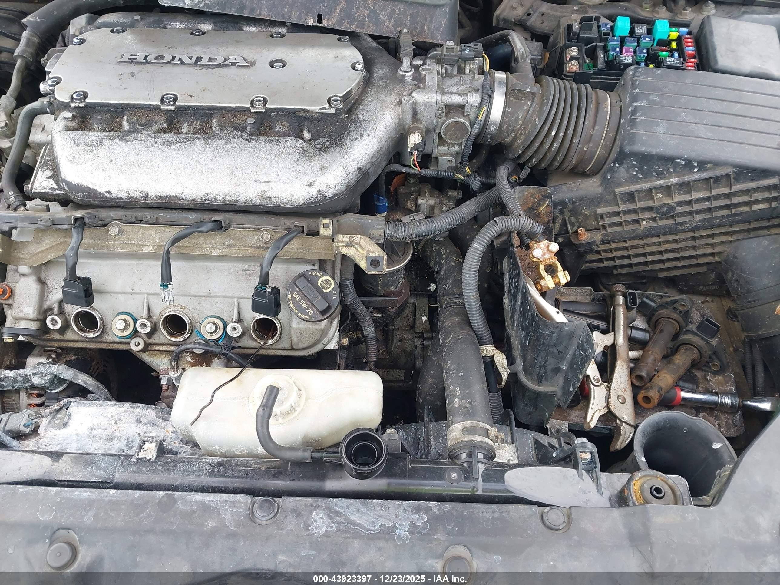 HONDA ACCORD image 6